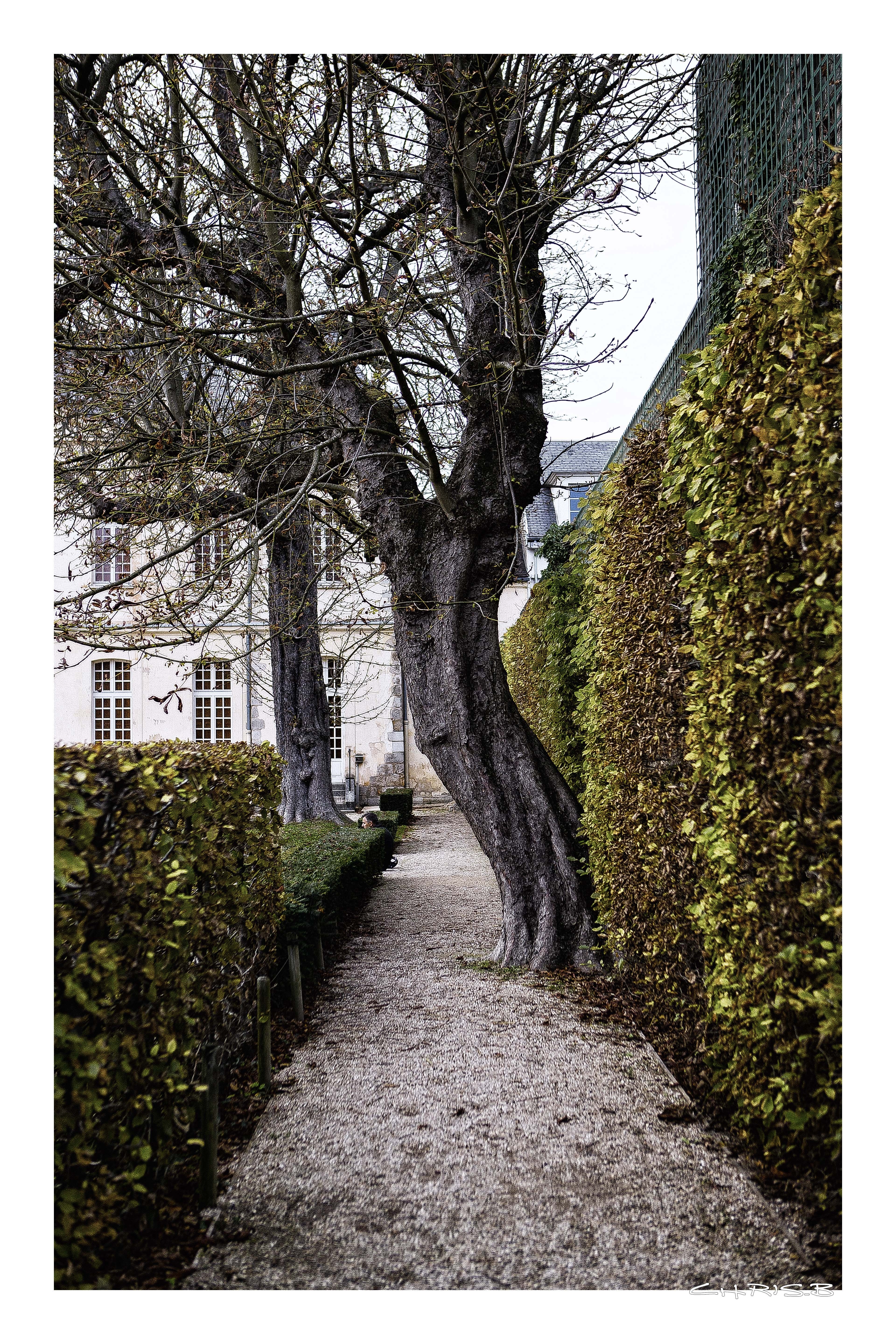 Gravel path lined with hedges and trees in front of a building HD Wallpaper