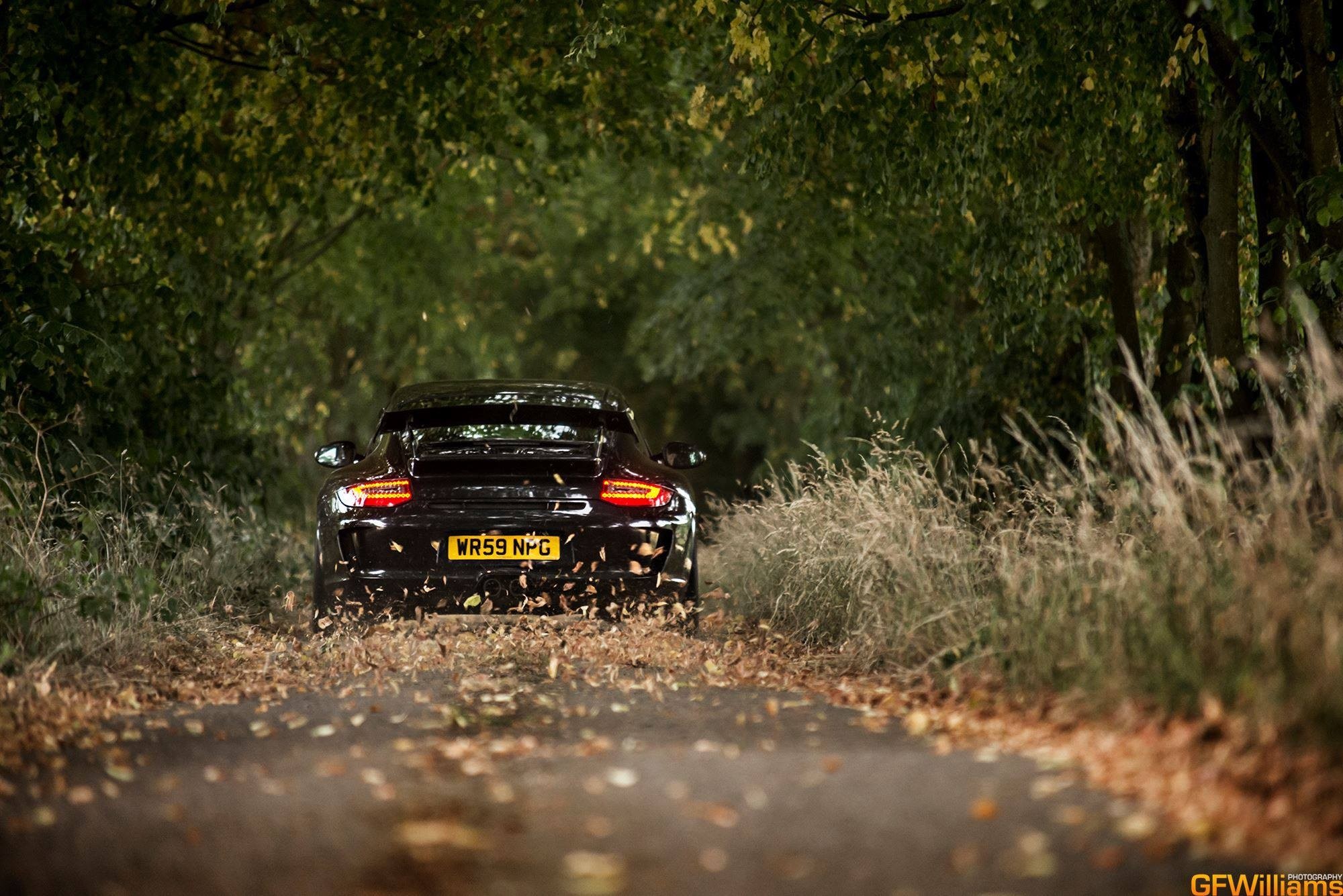 Black Porsche driving on a leaf-covered road HD Wallpaper