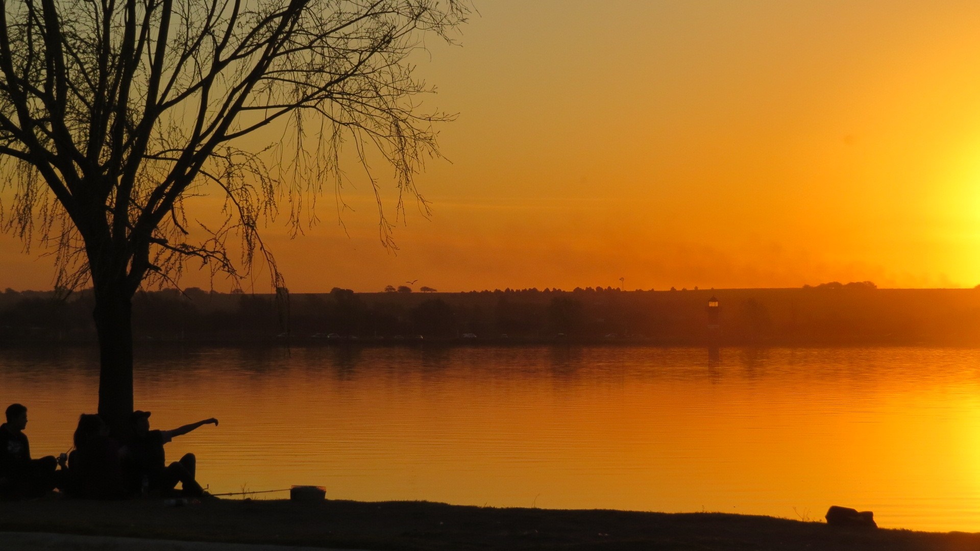 Sunset over a lake with people by a tree HD Wallpaper