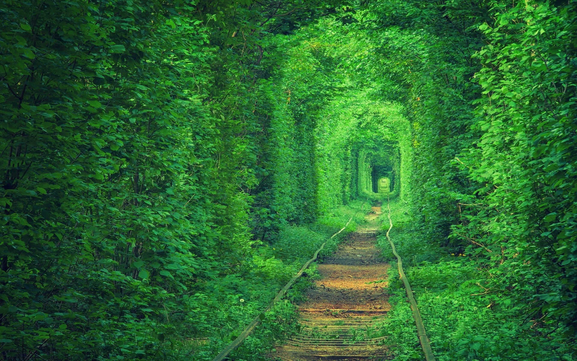 Tunnel of Love, Ukraine HD Wallpaper