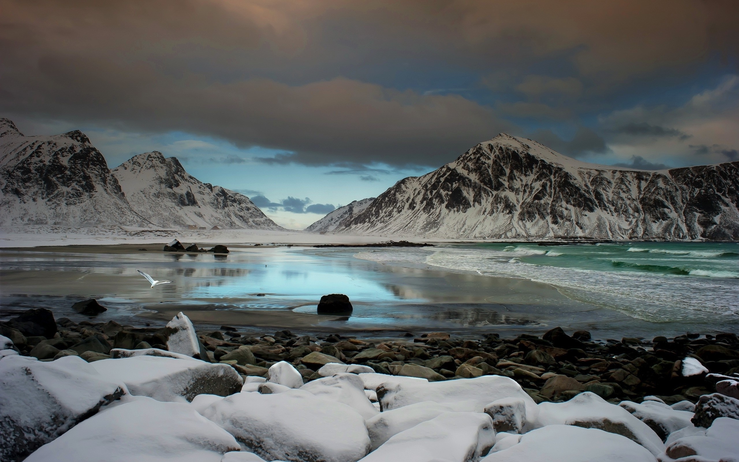 Snowy mountains and a beach with a bird flying HD Wallpaper