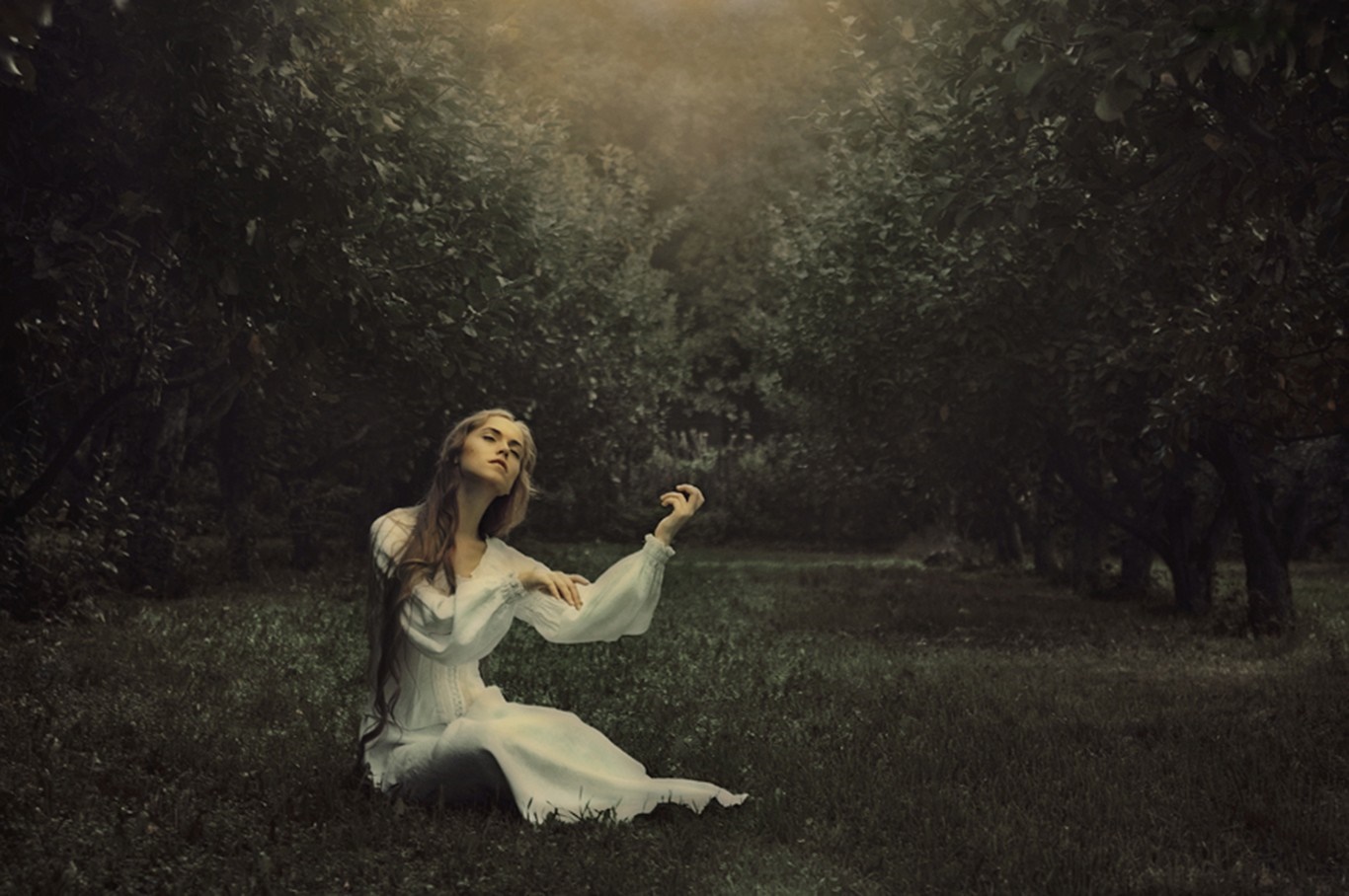 Woman in white dress in a dark forest HD Wallpaper