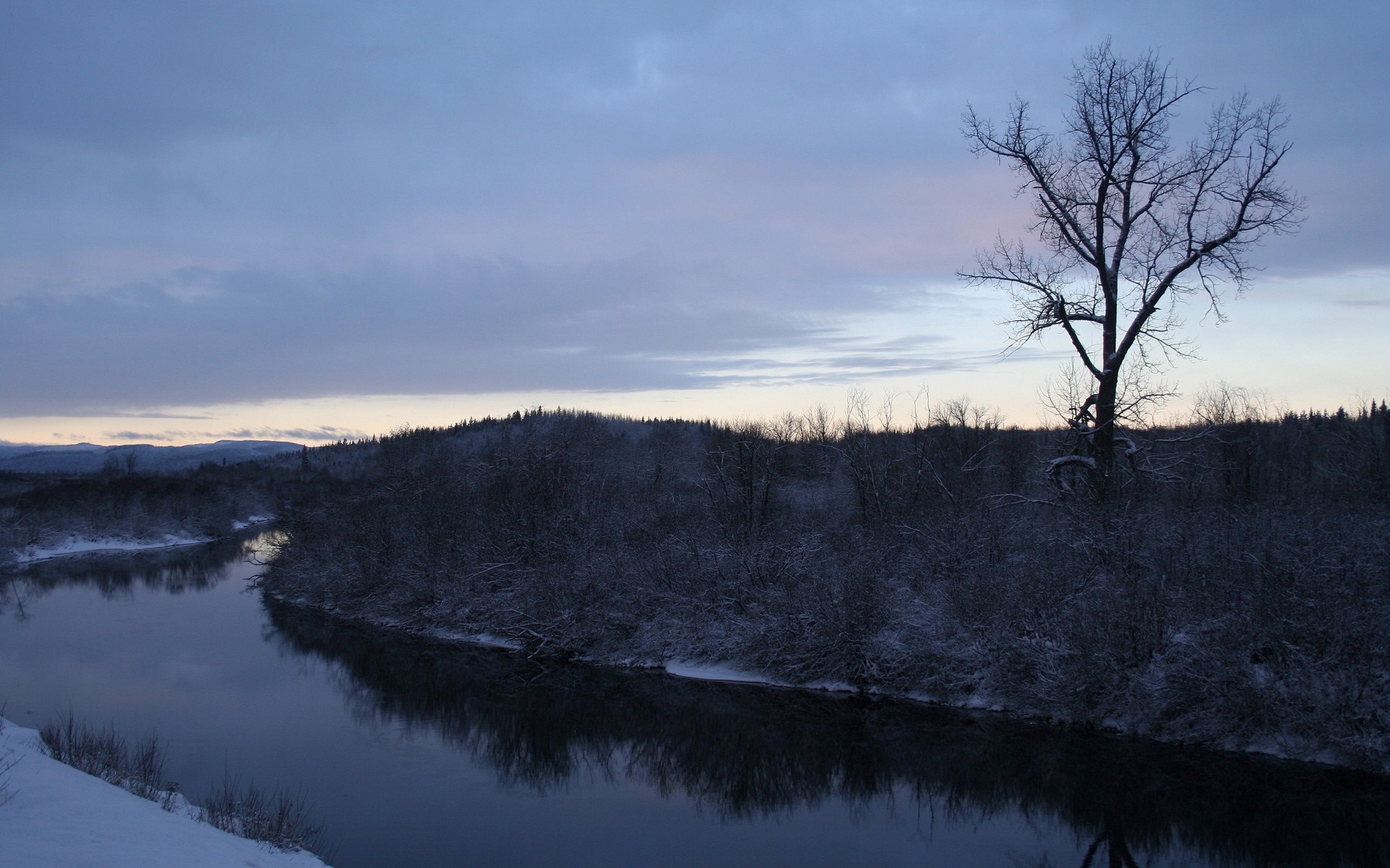 Winter river landscape at dusk with bare tree HD Wallpaper