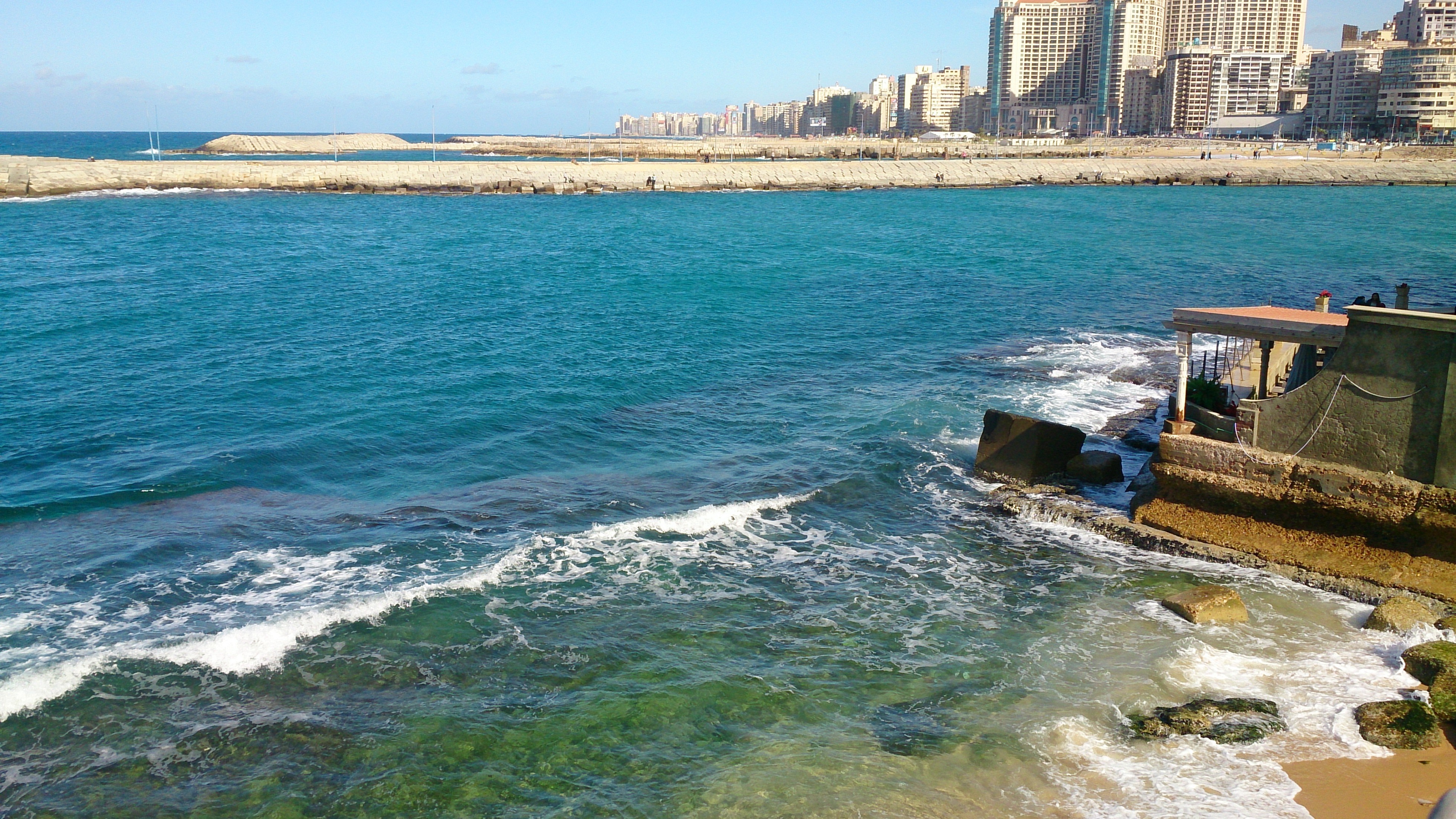 Alexandria coastline with Mediterranean Sea and buildings HD Wallpaper