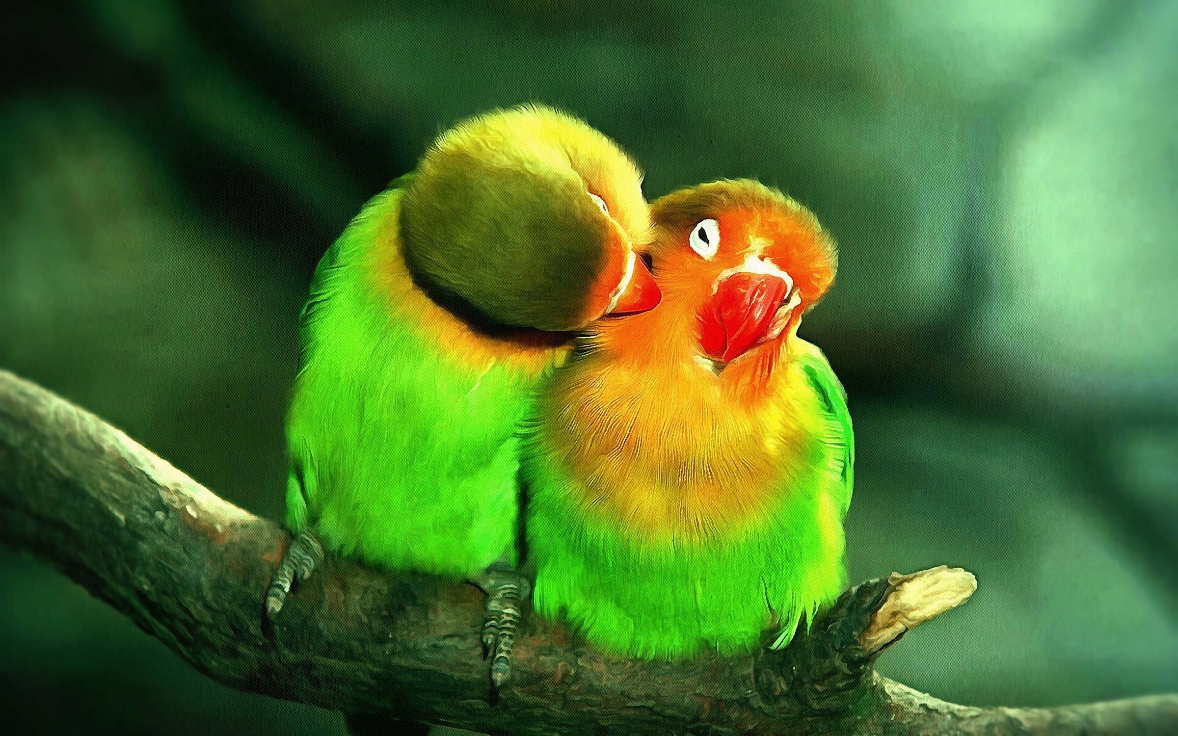 Two Vibrant Lovebirds on a Branch HD Wallpaper