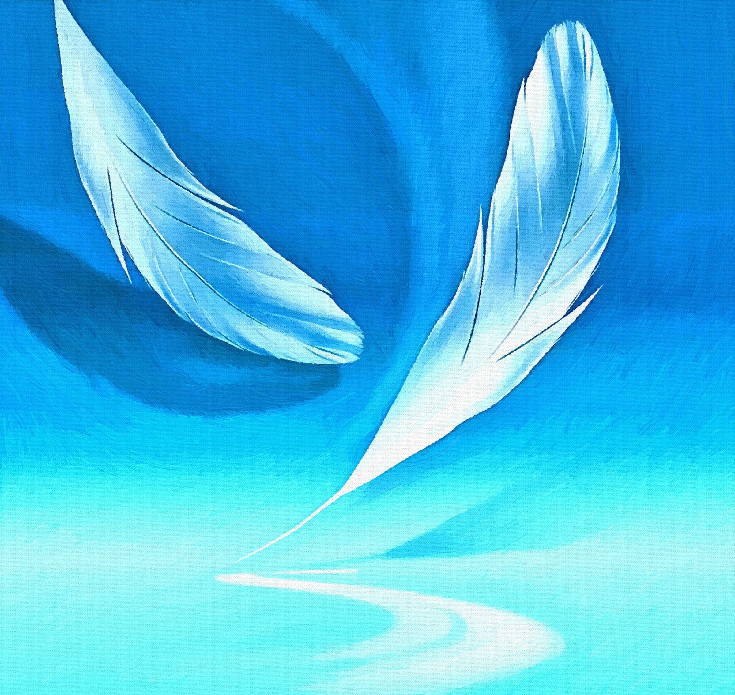 Two white feathers on a blue background with reflection HD Wallpaper
