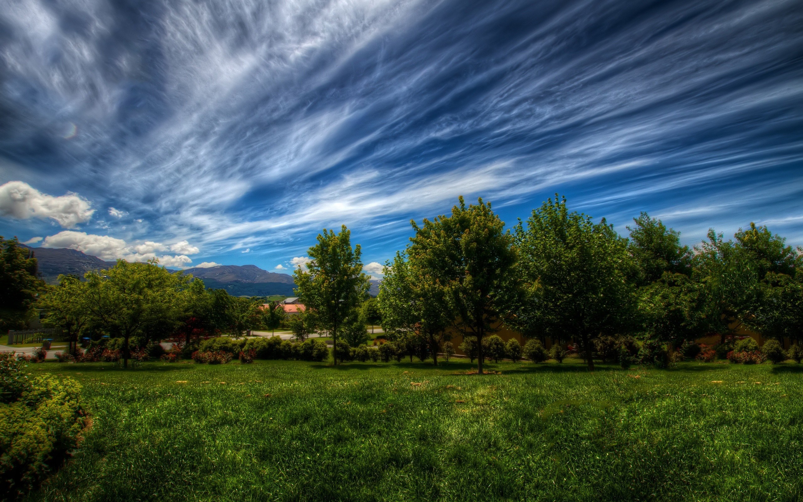 Green grass field with trees and mountains under a cloudy sky HD Wallpaper