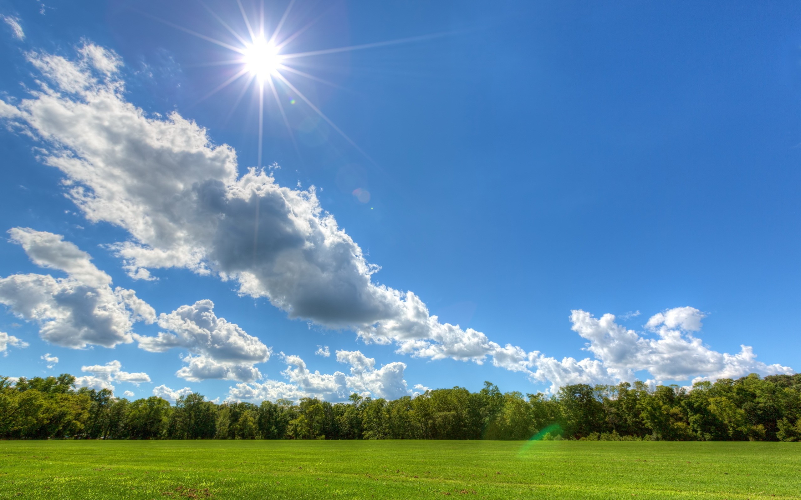 Sun shining over a green field and trees HD Wallpaper