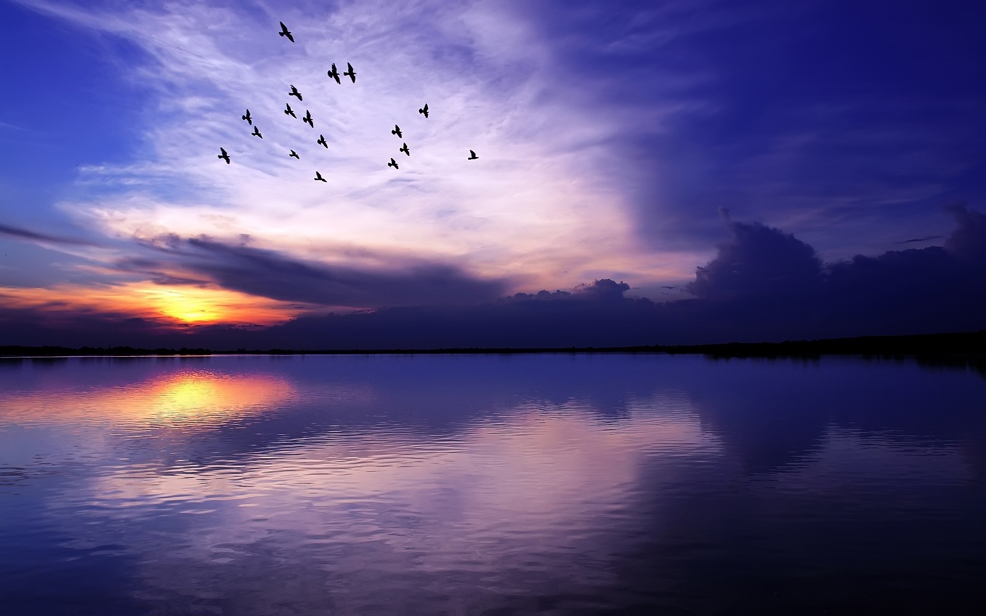 Birds flying over a lake at sunset with colorful sky HD Wallpaper