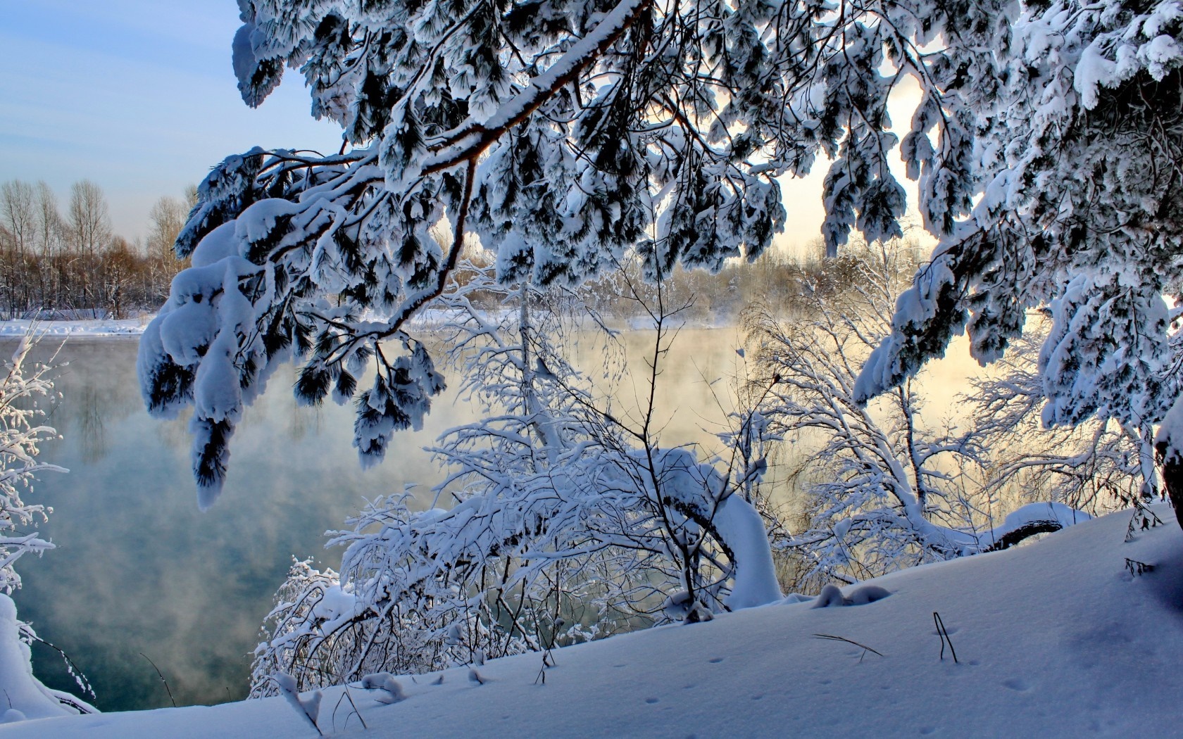 Snow-covered trees by a steaming river in winter HD Wallpaper