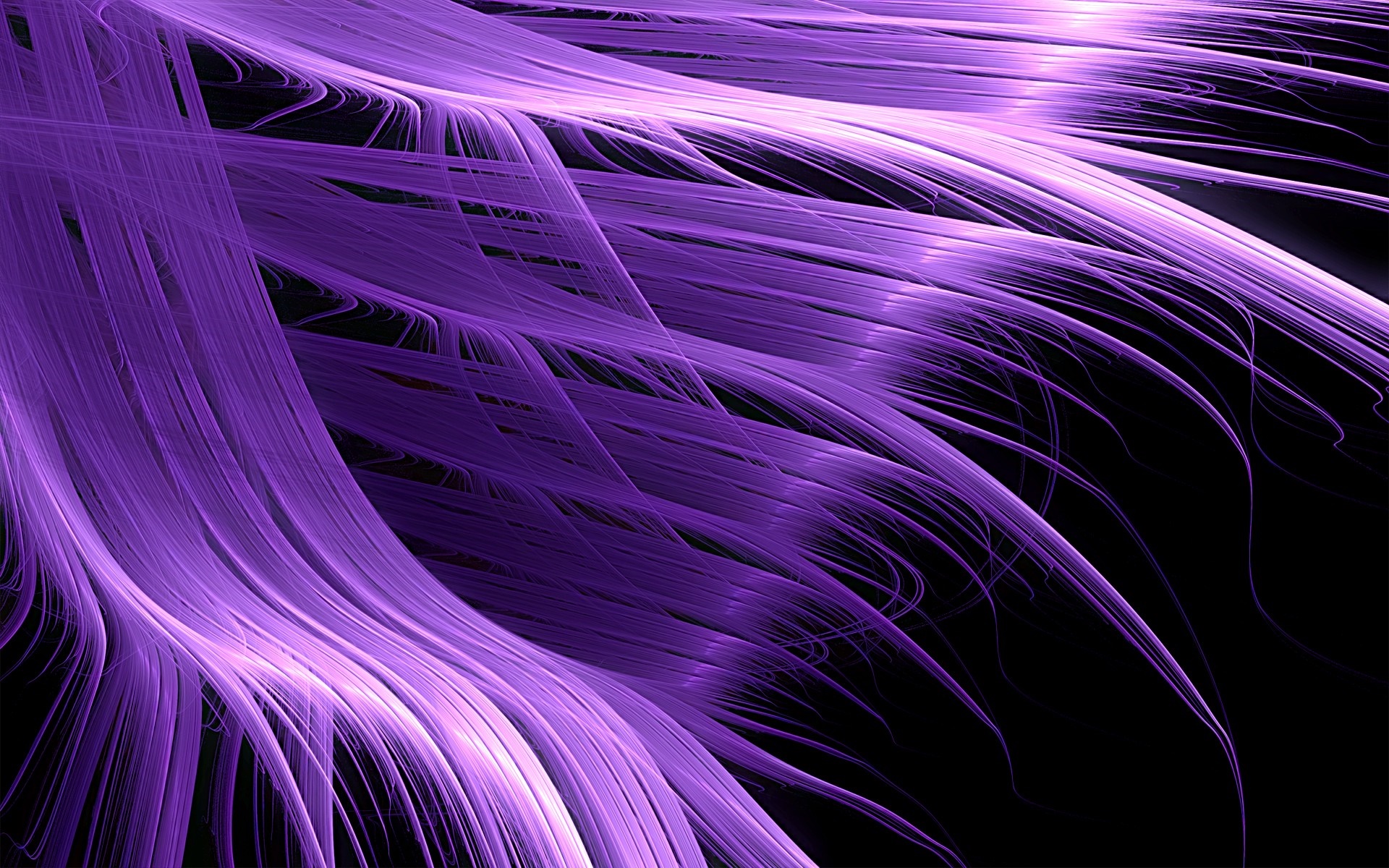 Abstract purple fractal art with flowing lines HD Wallpaper