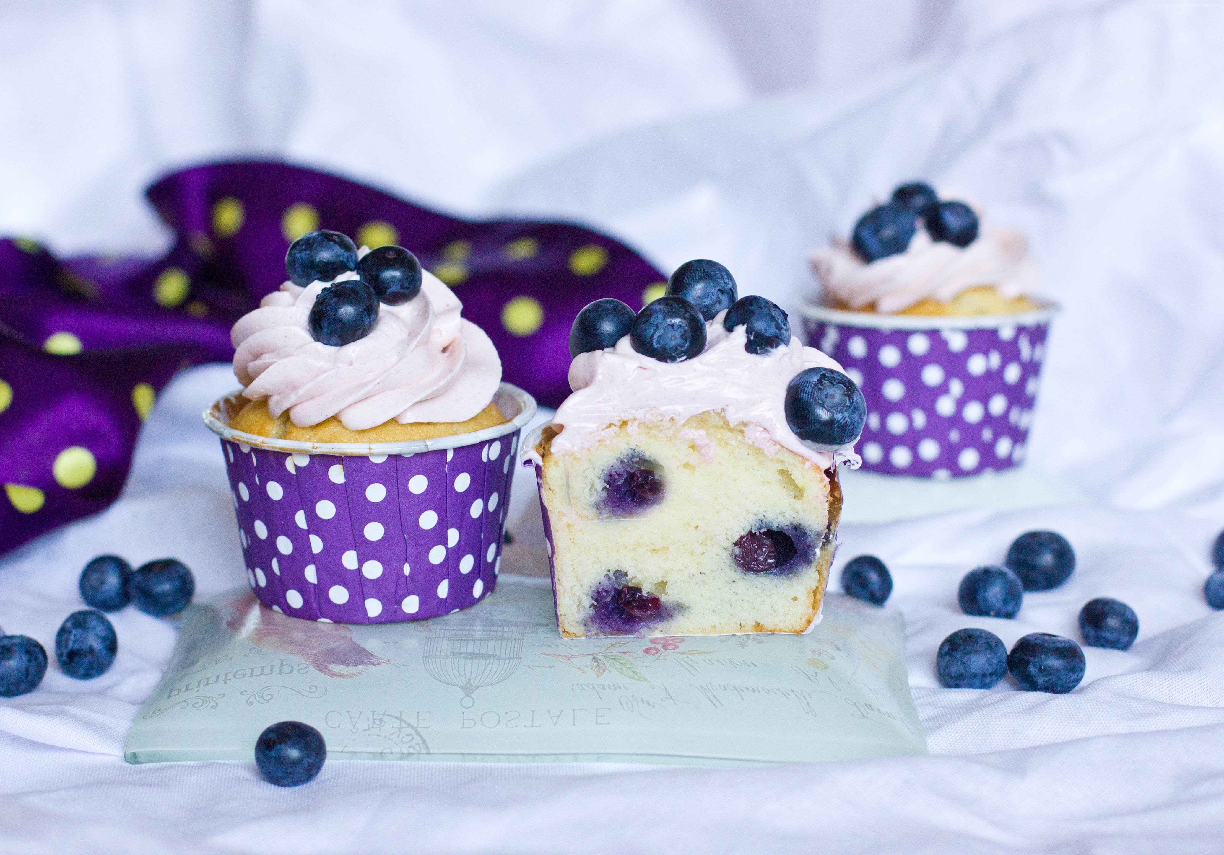 Blueberry cupcakes with pink frosting and purple polka dot liners HD Wallpaper