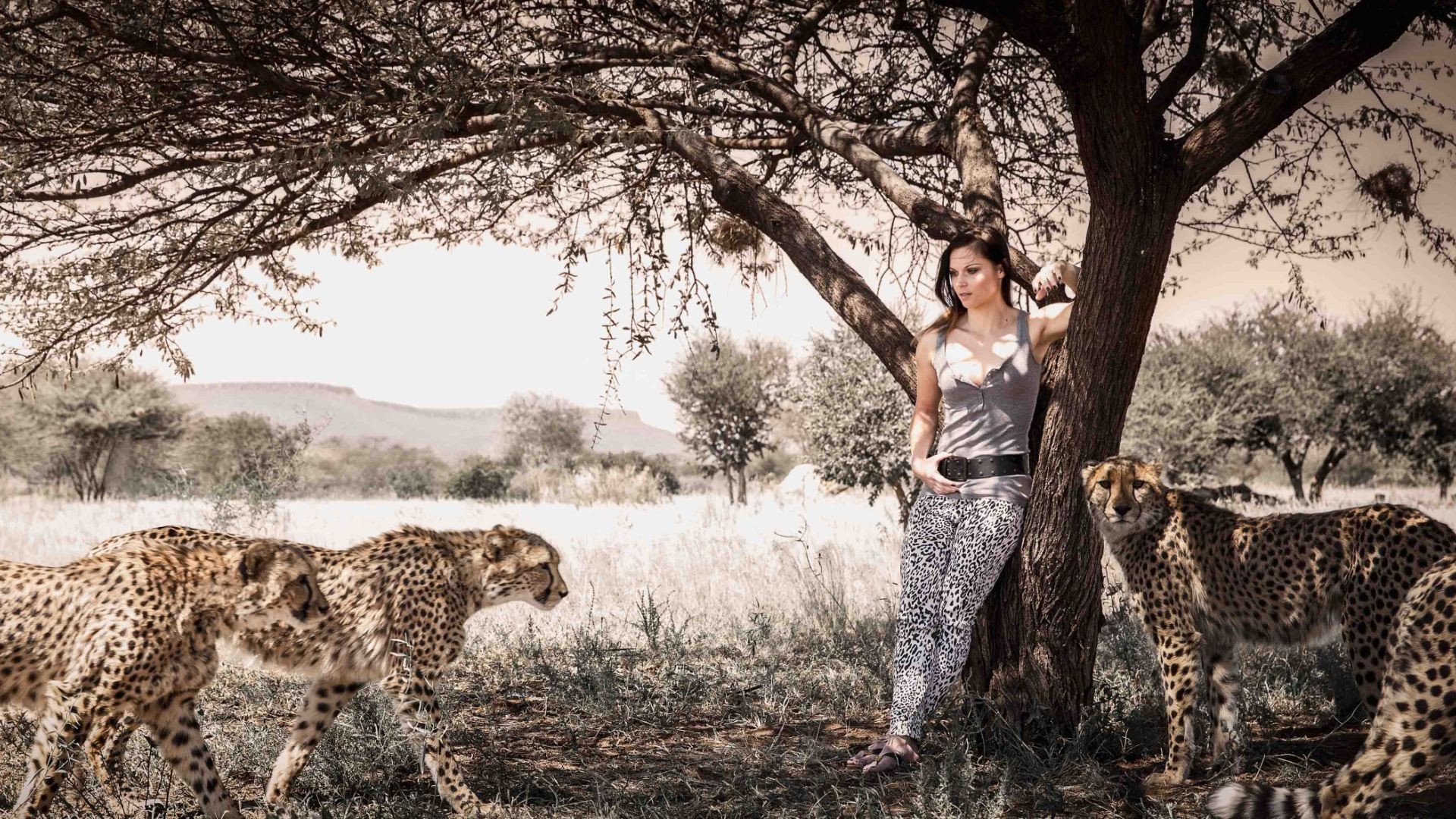 Woman with cheetahs in a savanna landscape HD Wallpaper