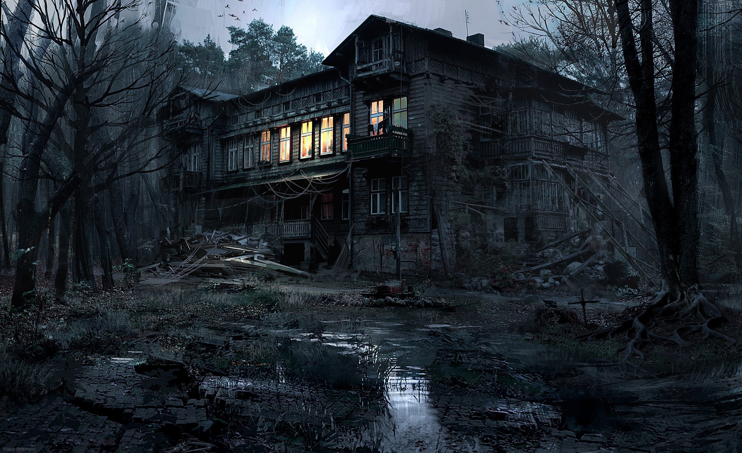 Abandoned wooden house in a dark, overgrown forest HD Wallpaper