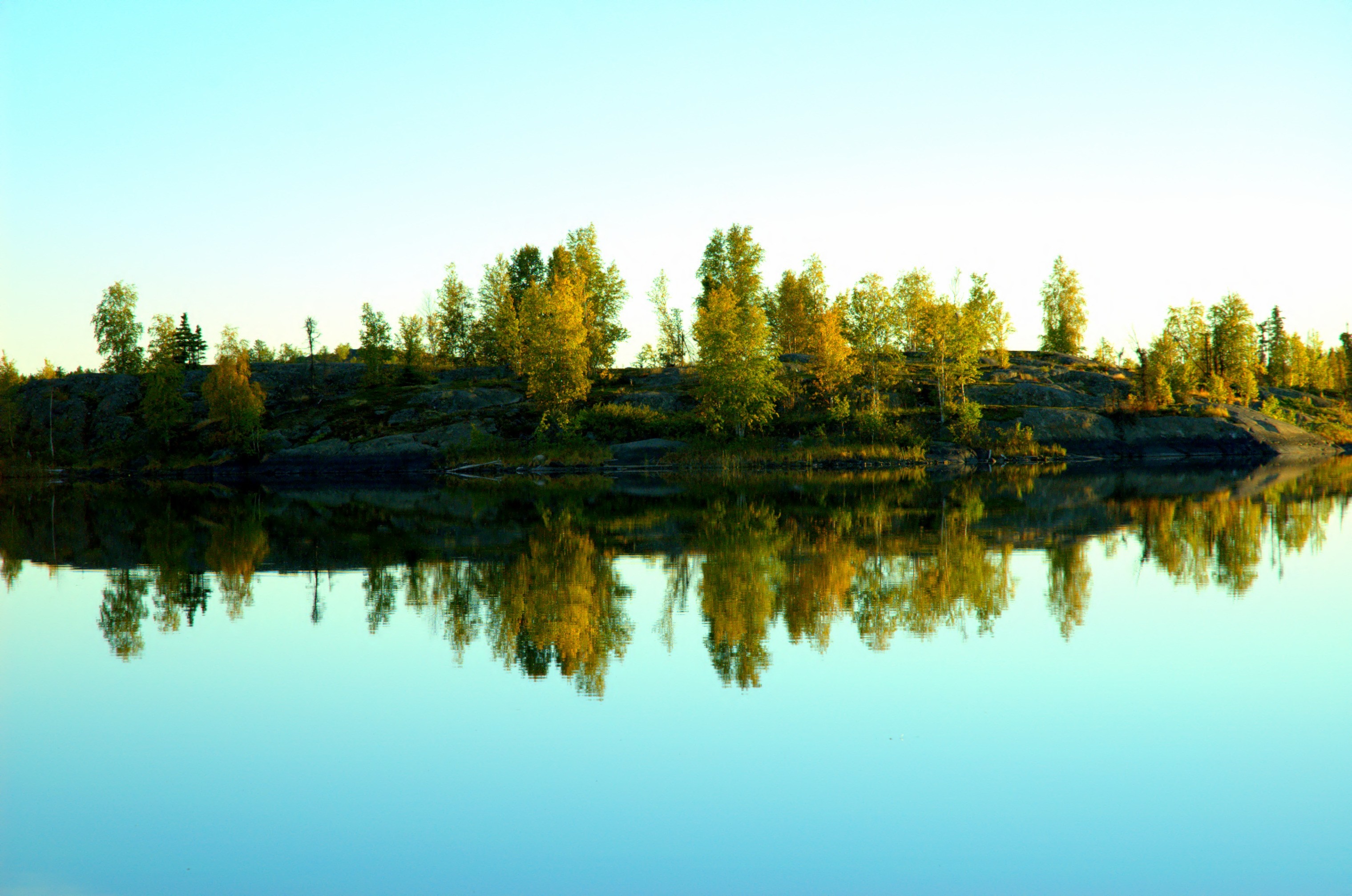 Trees reflecting in a calm lake under a clear sky HD Wallpaper