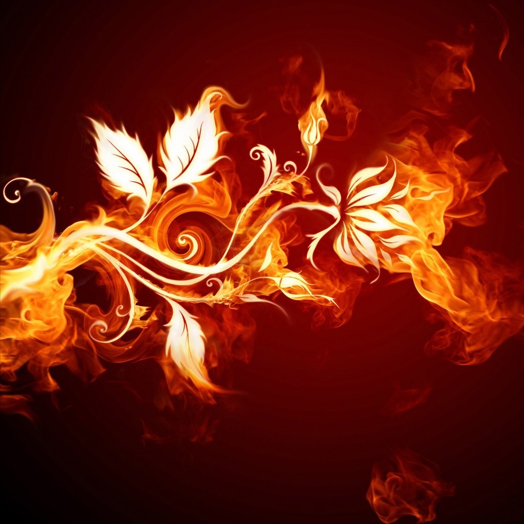 Fiery floral design with swirling flames HD Wallpaper
