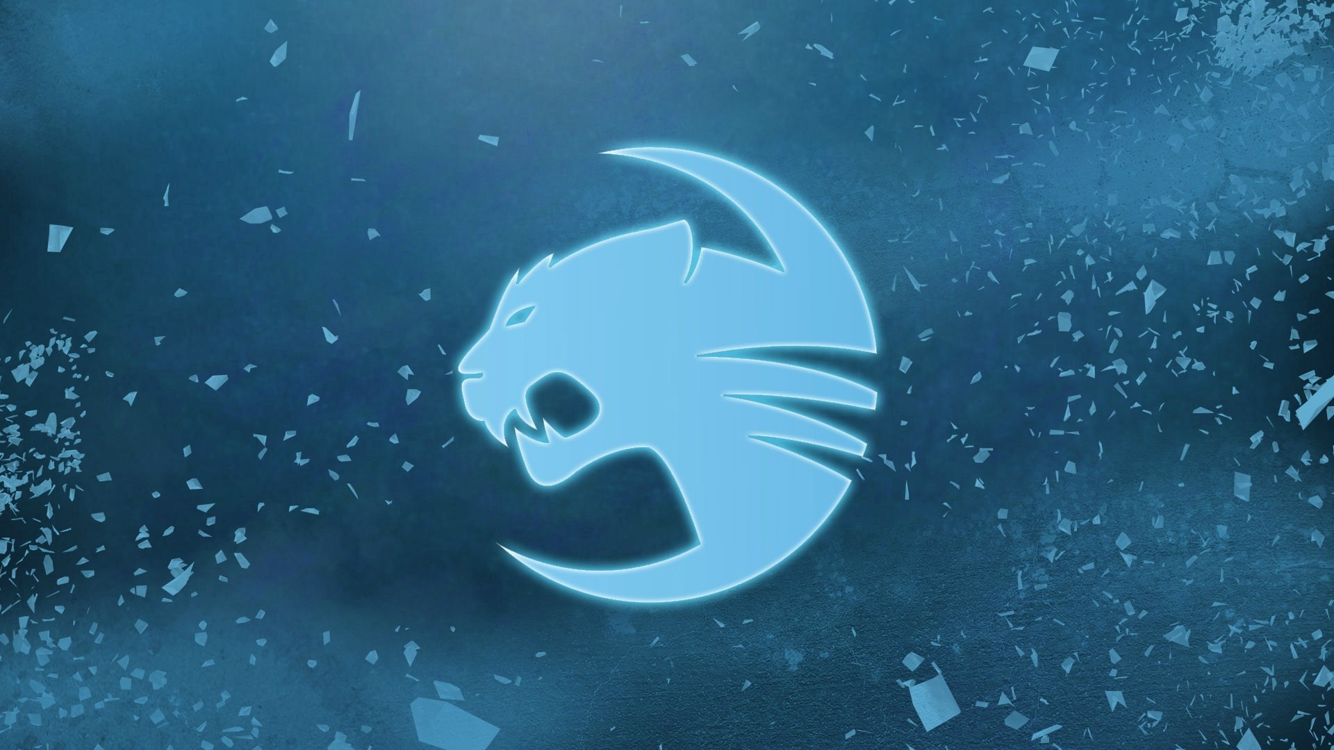 Roccat logo illustration on blue background HD Wallpaper