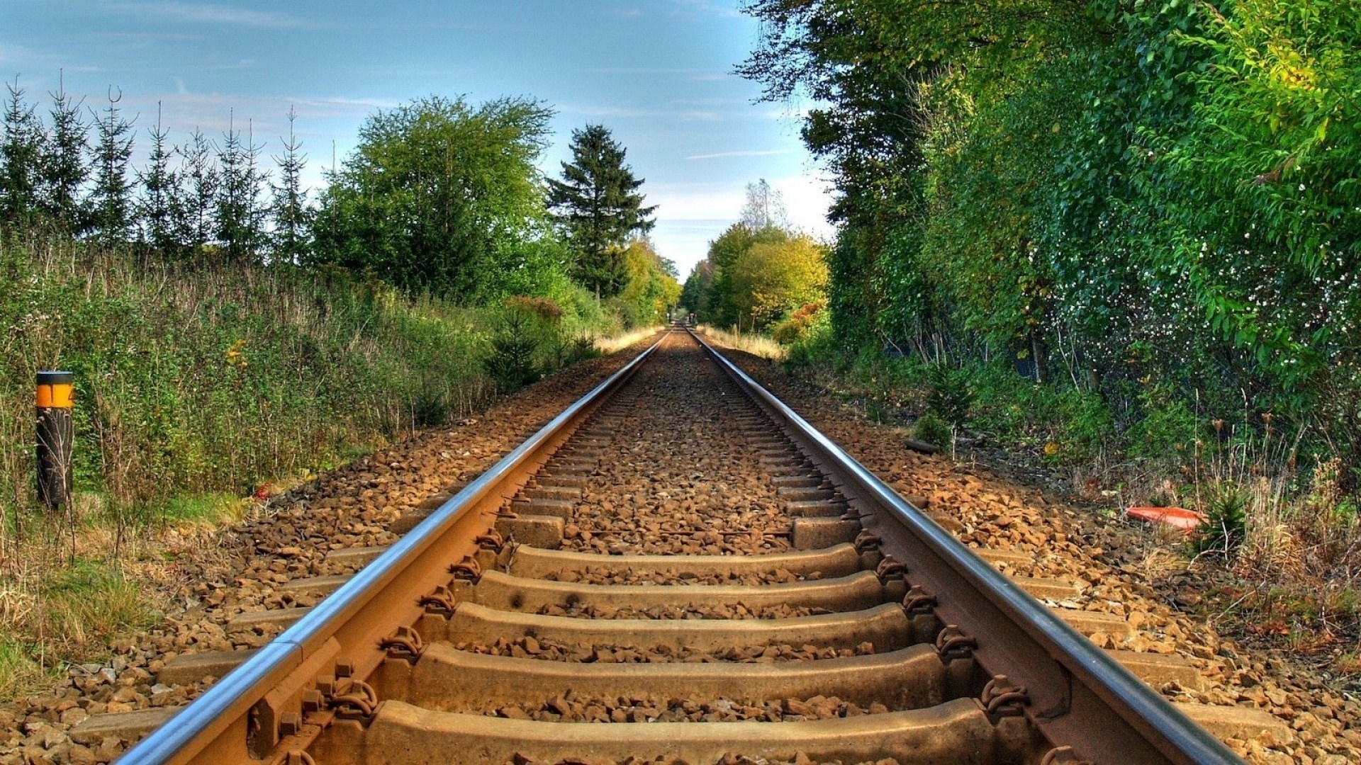 Train tracks through a green forest landscape HD Wallpaper