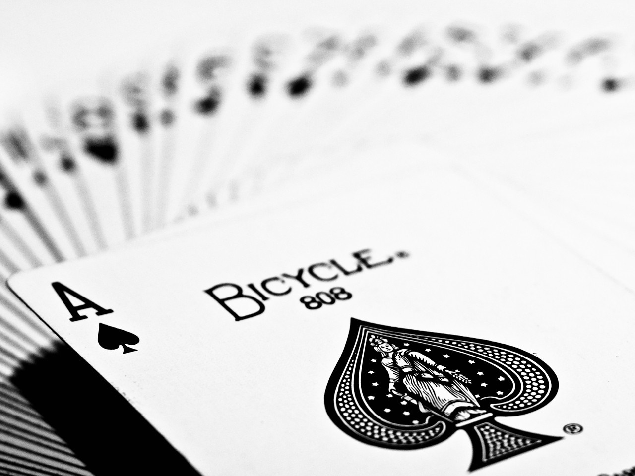 Ace of Spades Bicycle playing card HD Wallpaper