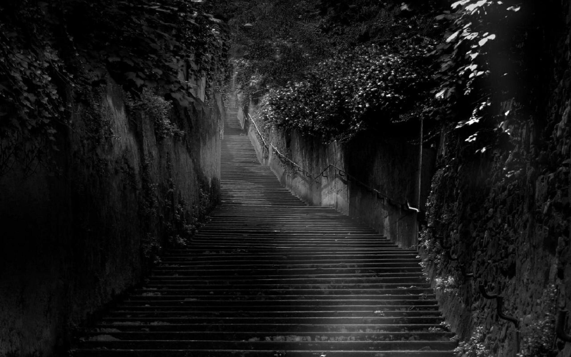 Monochrome image of a long stone staircase in a forest HD Wallpaper