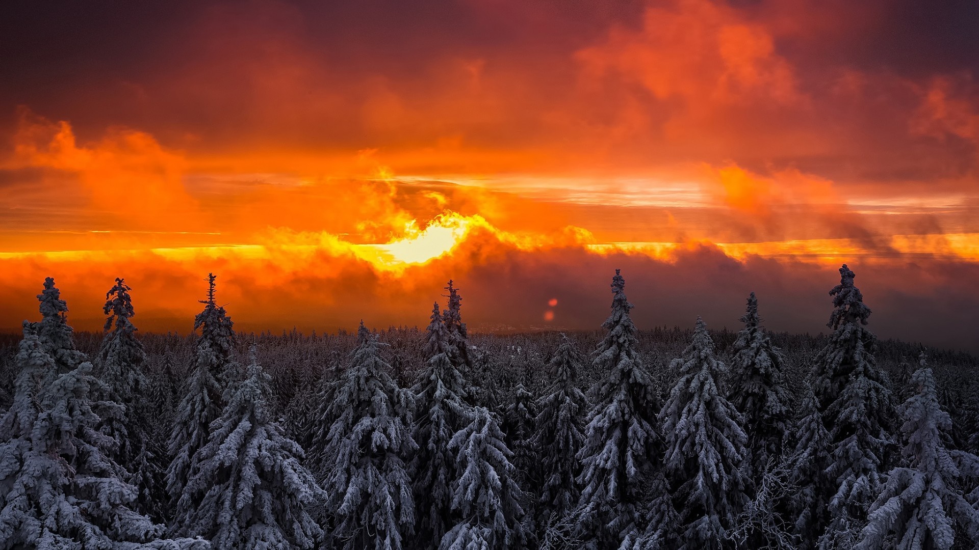 Snow-covered forest at sunset with dramatic clouds HD Wallpaper