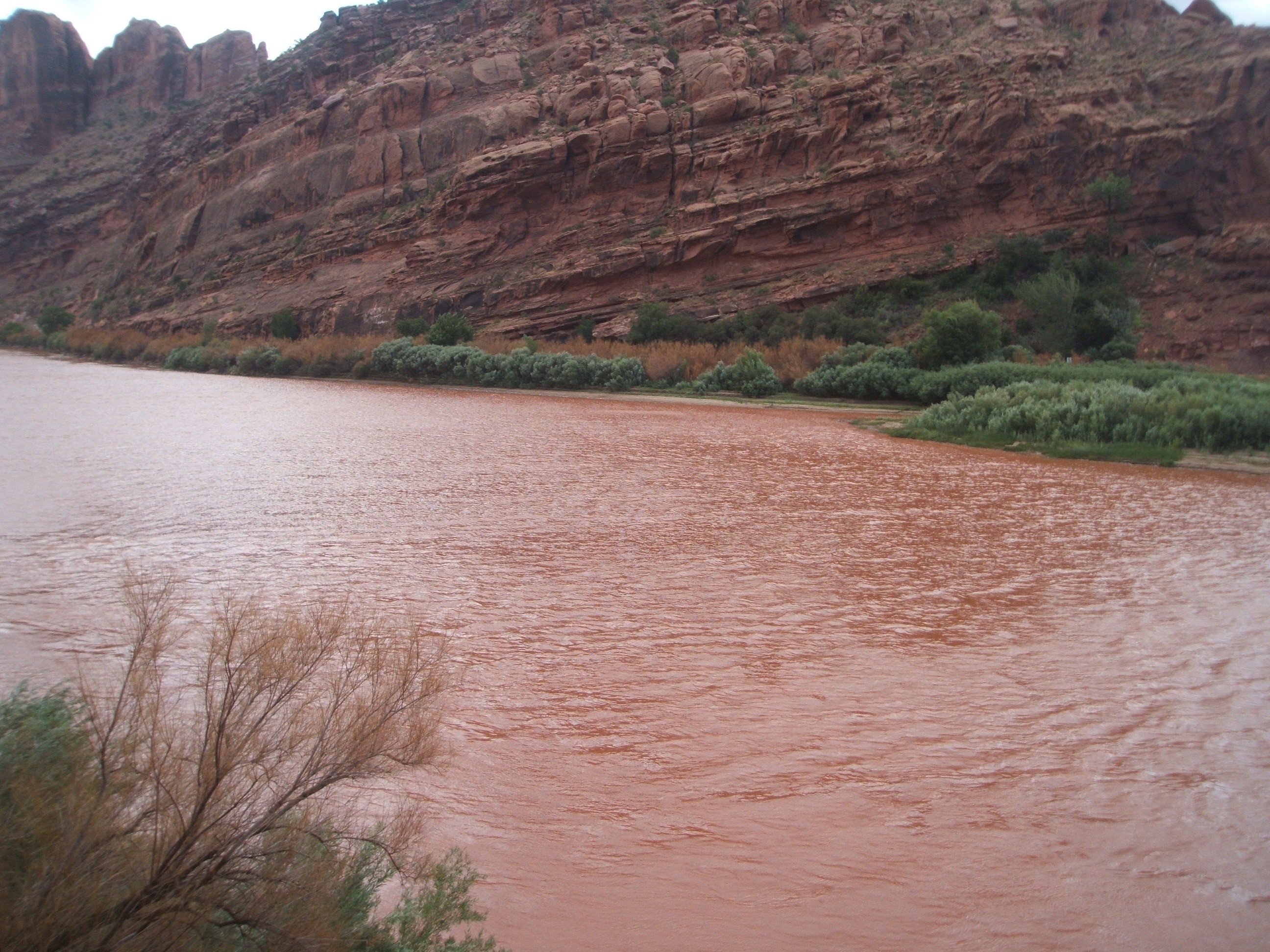 Muddy river flowing past red rock cliffs and green vegetation HD Wallpaper