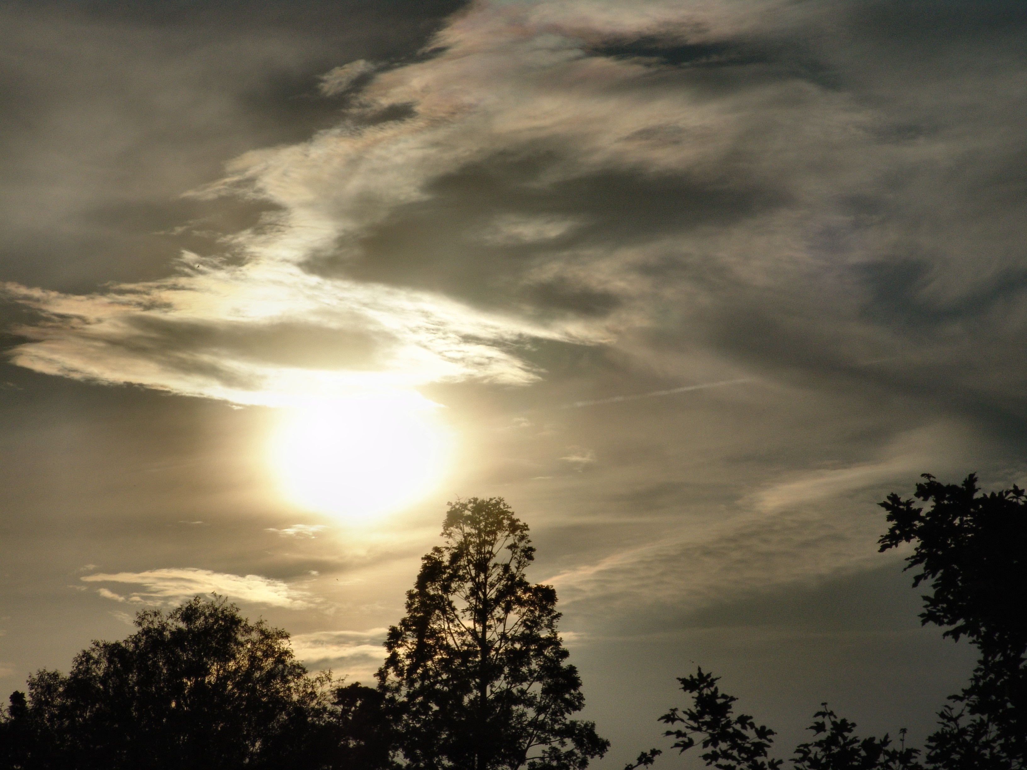 Sun shining through clouds over trees at sunset HD Wallpaper