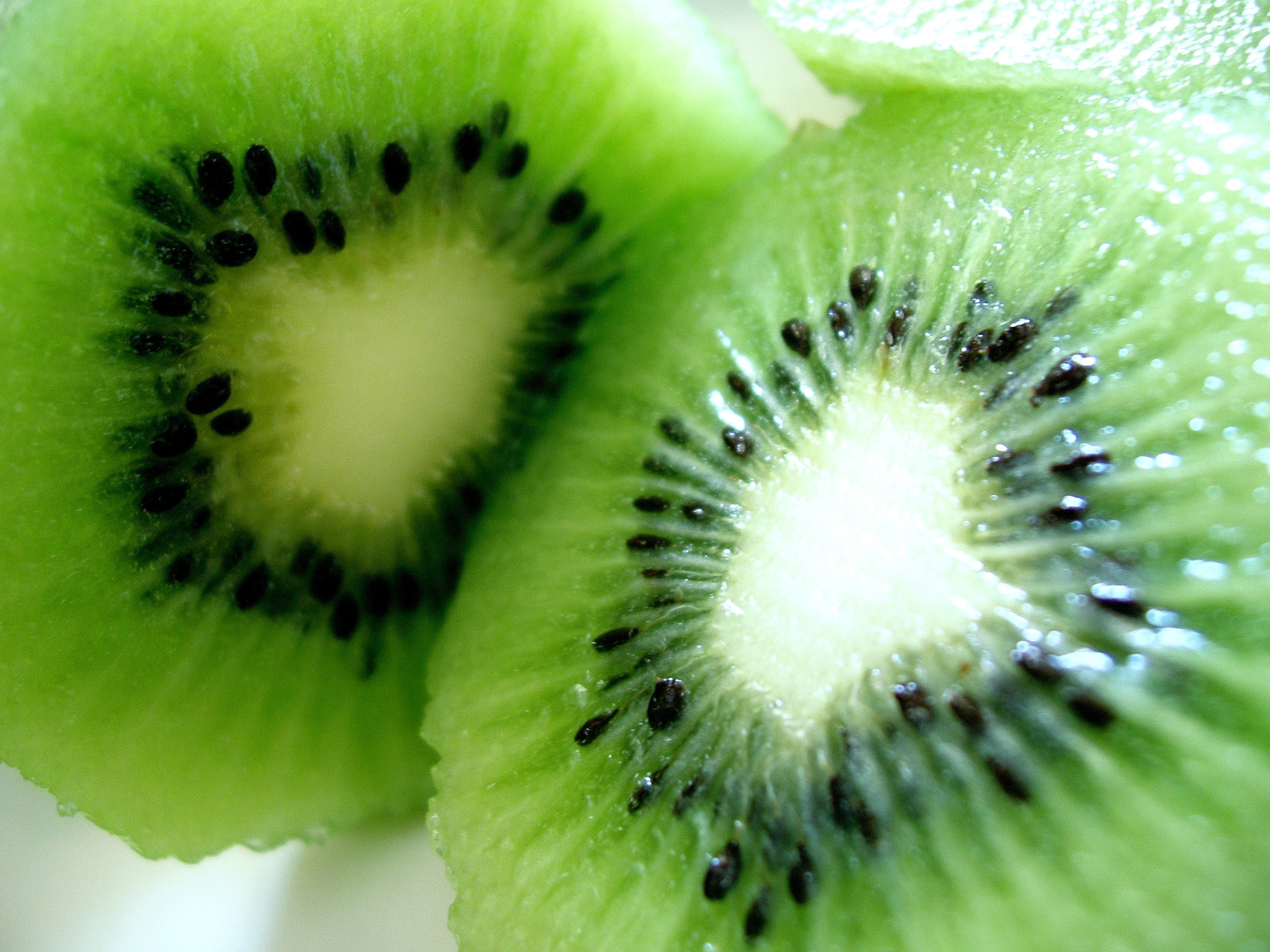 Close-up of two sliced kiwis HD Wallpaper
