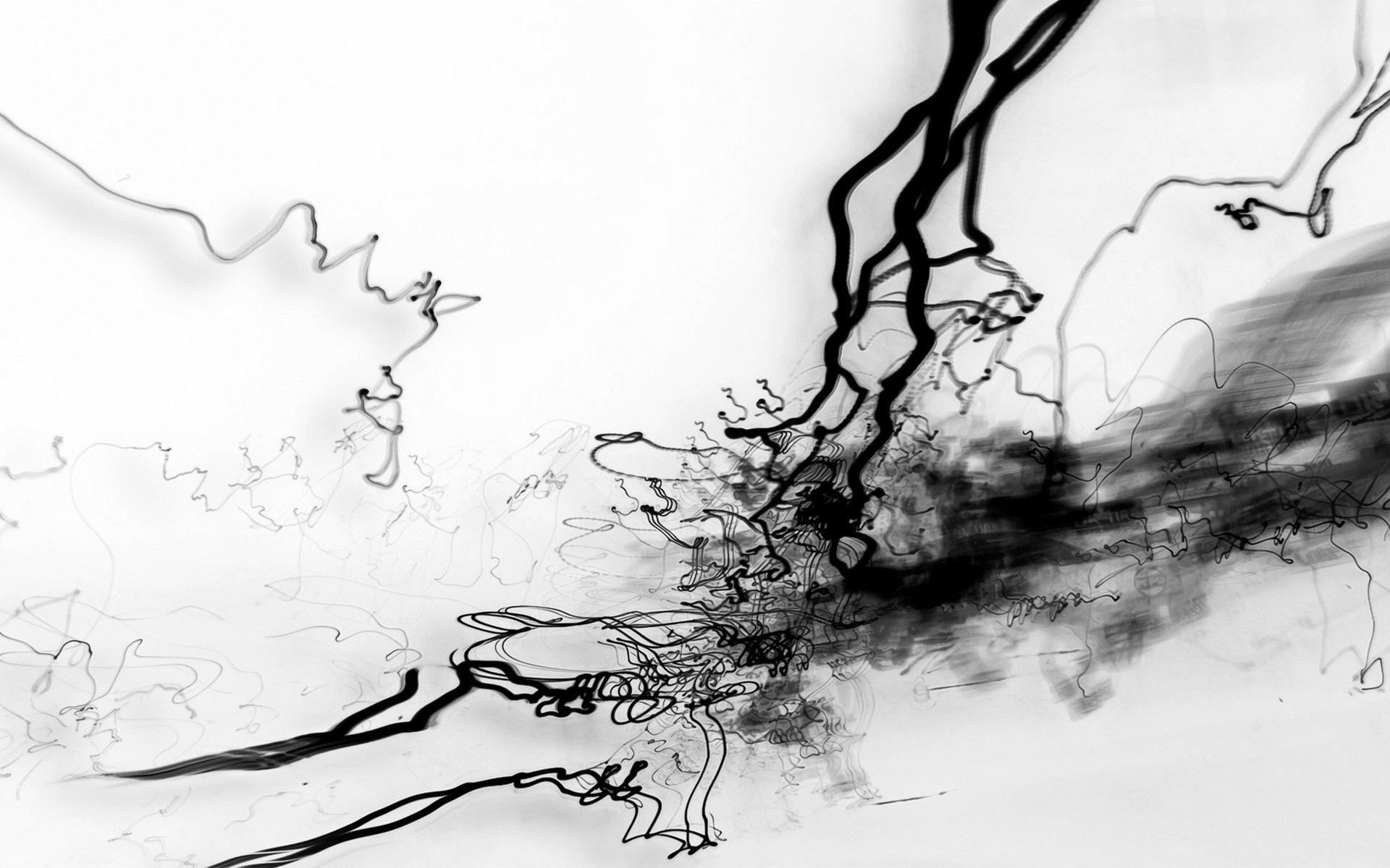 Abstract light trails on white background HD Wallpaper