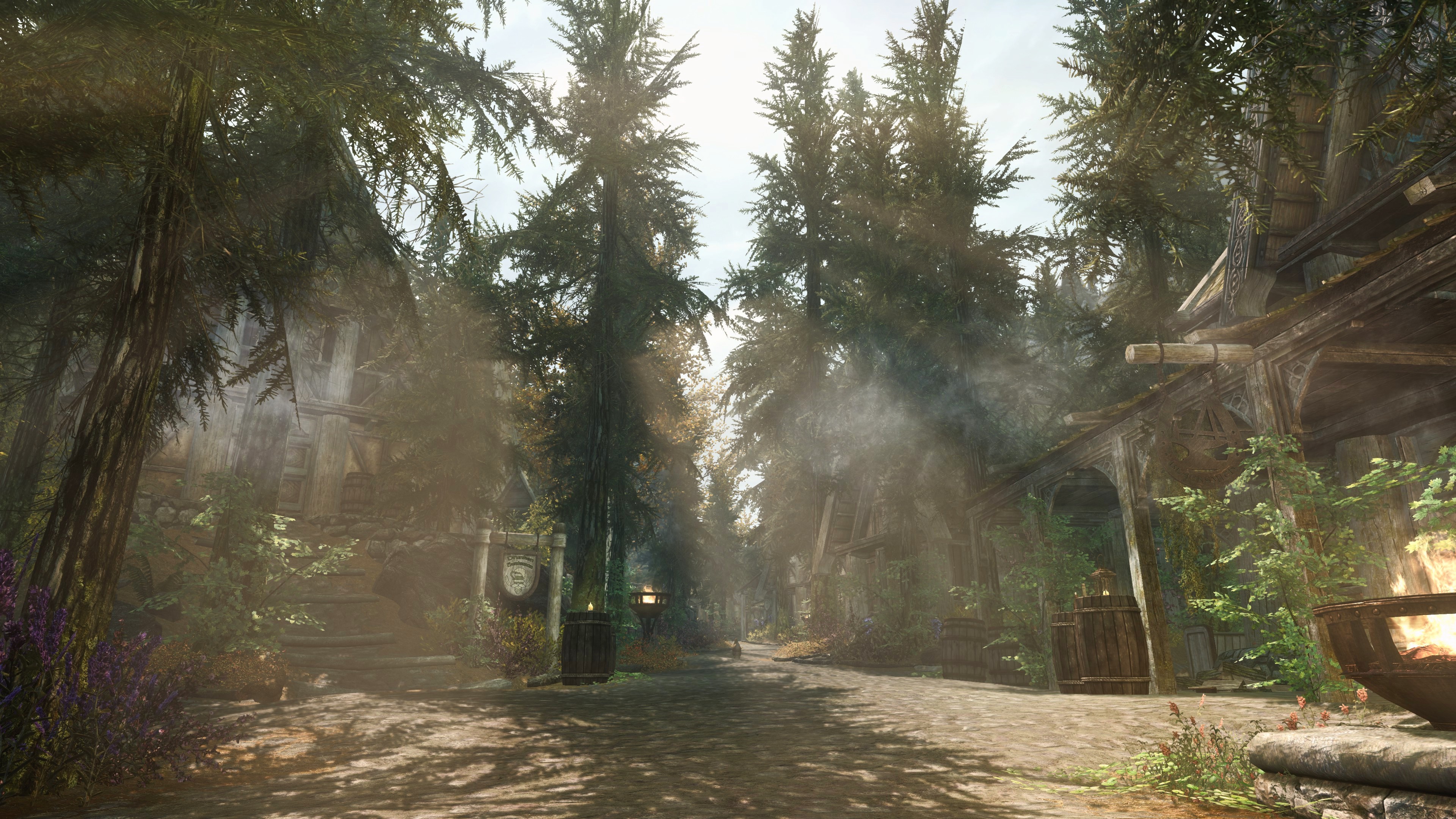 The Elder Scrolls V Skyrim village in a forest HD Wallpaper