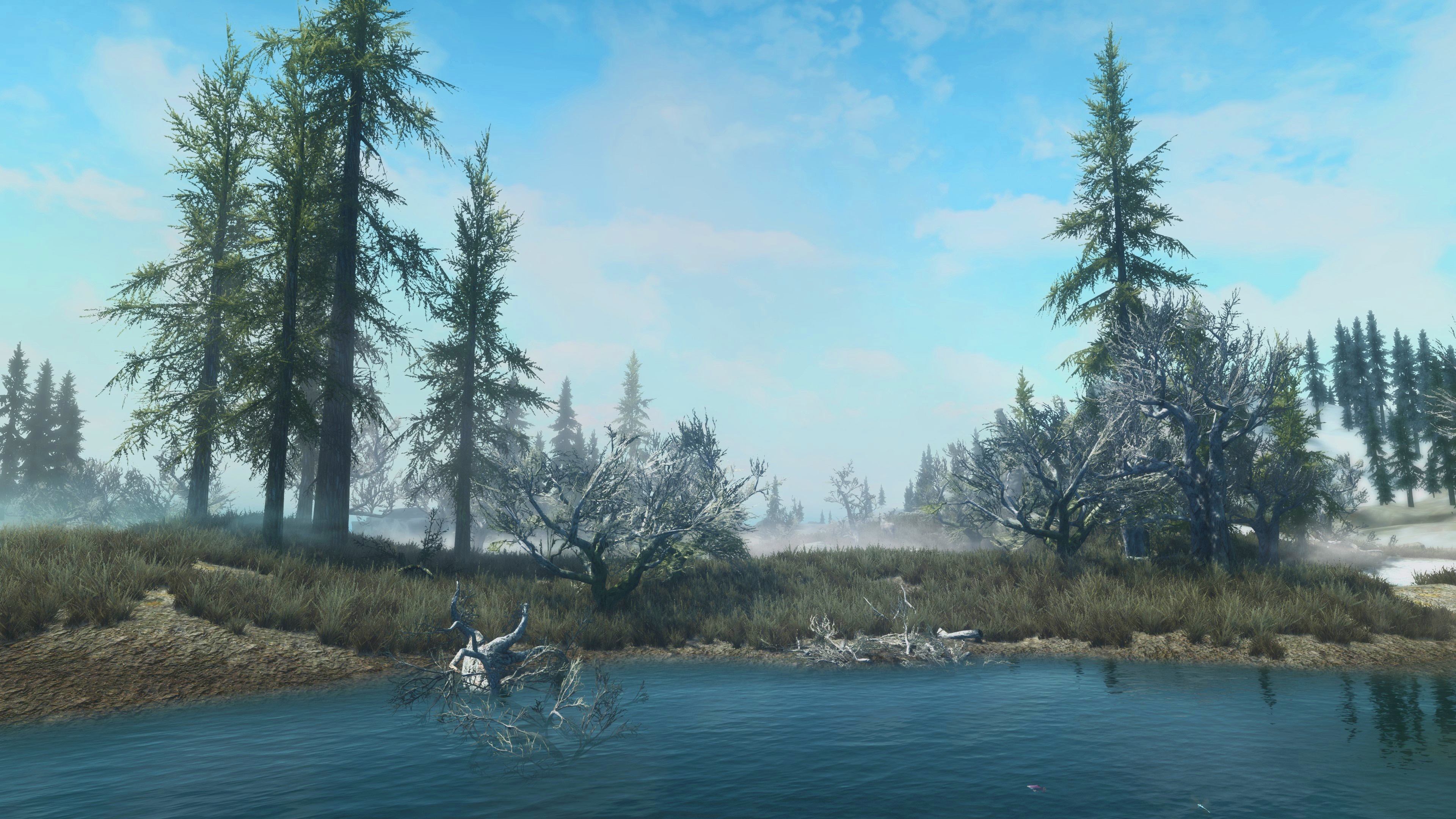 The Elder Scrolls V Skyrim landscape with lake and trees HD Wallpaper