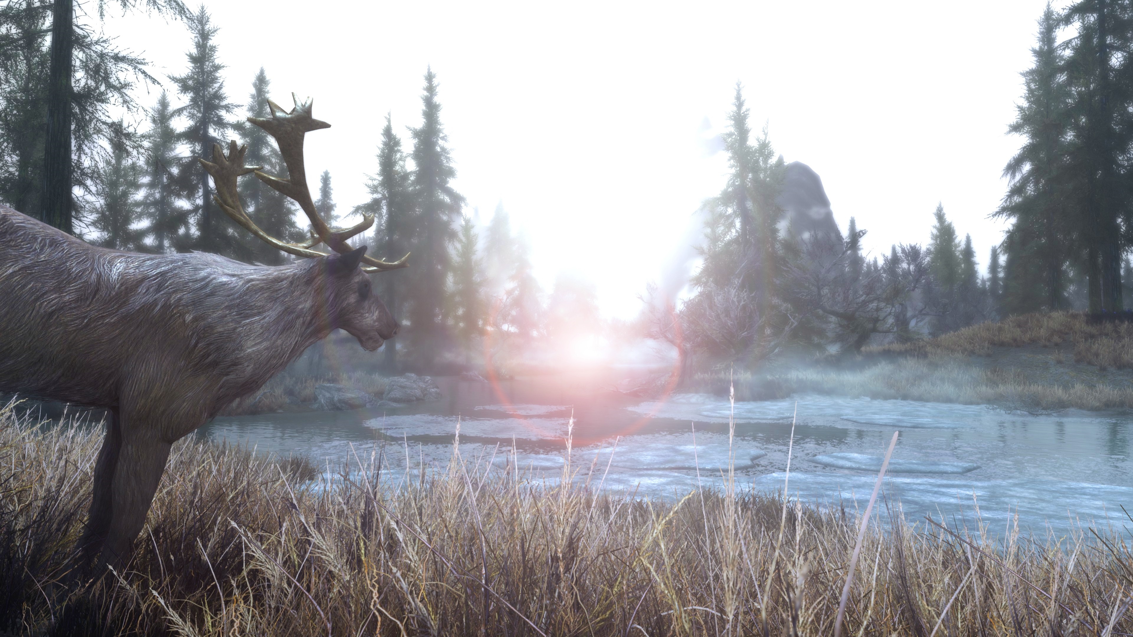 Deer in a misty forest by a river in Skyrim HD Wallpaper