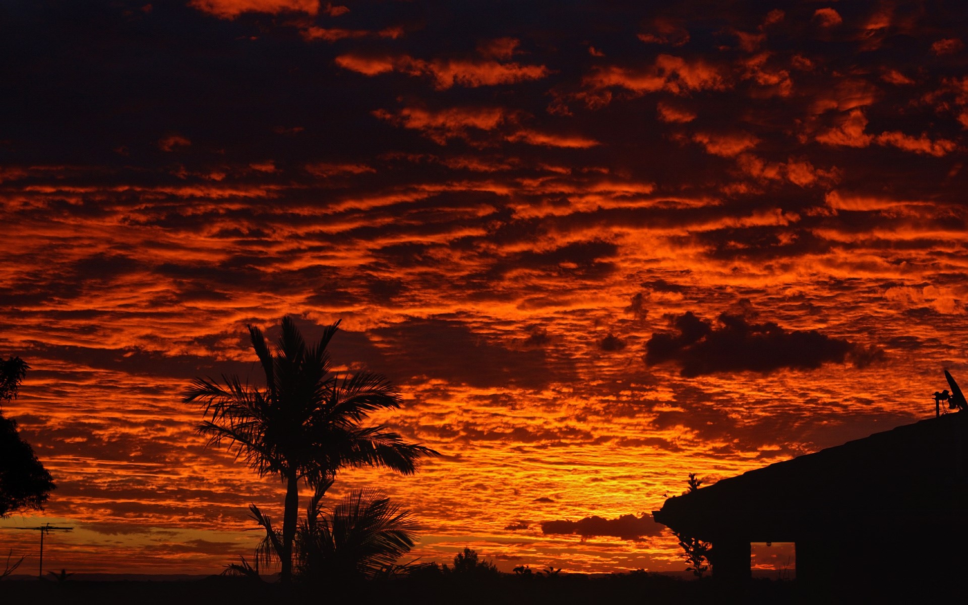 Fiery sunset over silhouetted palm trees and house HD Wallpaper
