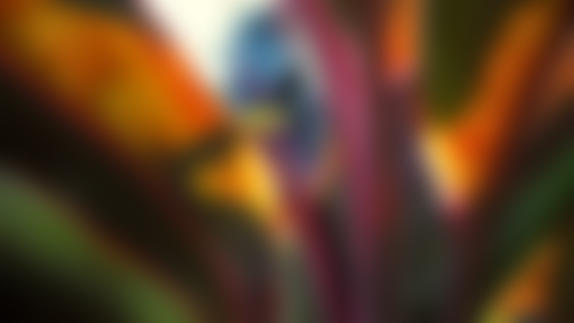 Blurred colorful plant with sunlight HD Wallpaper