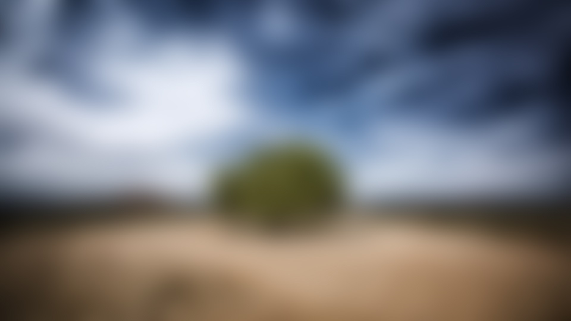 Blurred green tree against a cloudy sky HD Wallpaper