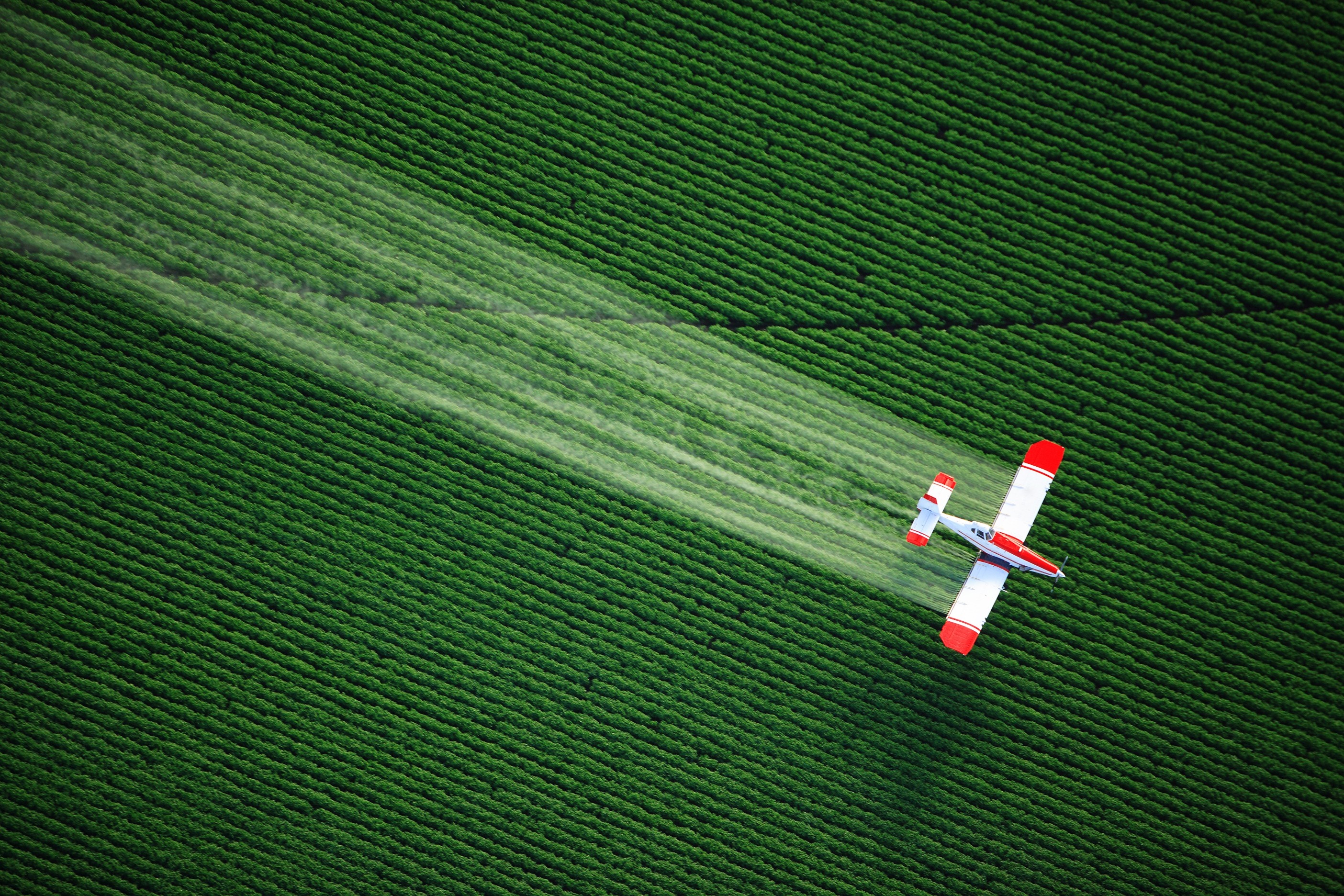 Airplane spraying a green field from above HD Wallpaper