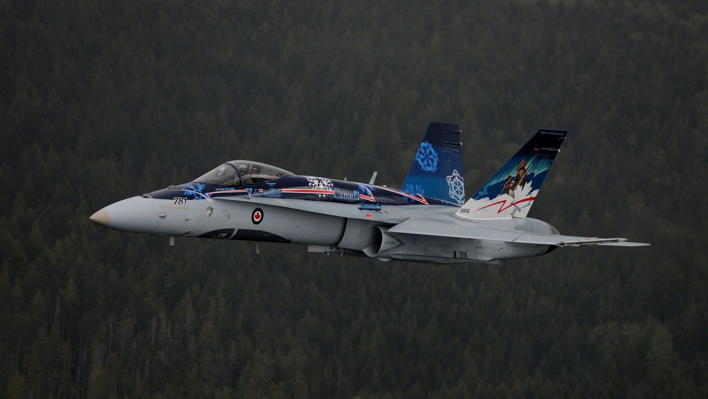Canadian F/A-18 Hornet fighter jet flying over forest HD Wallpaper