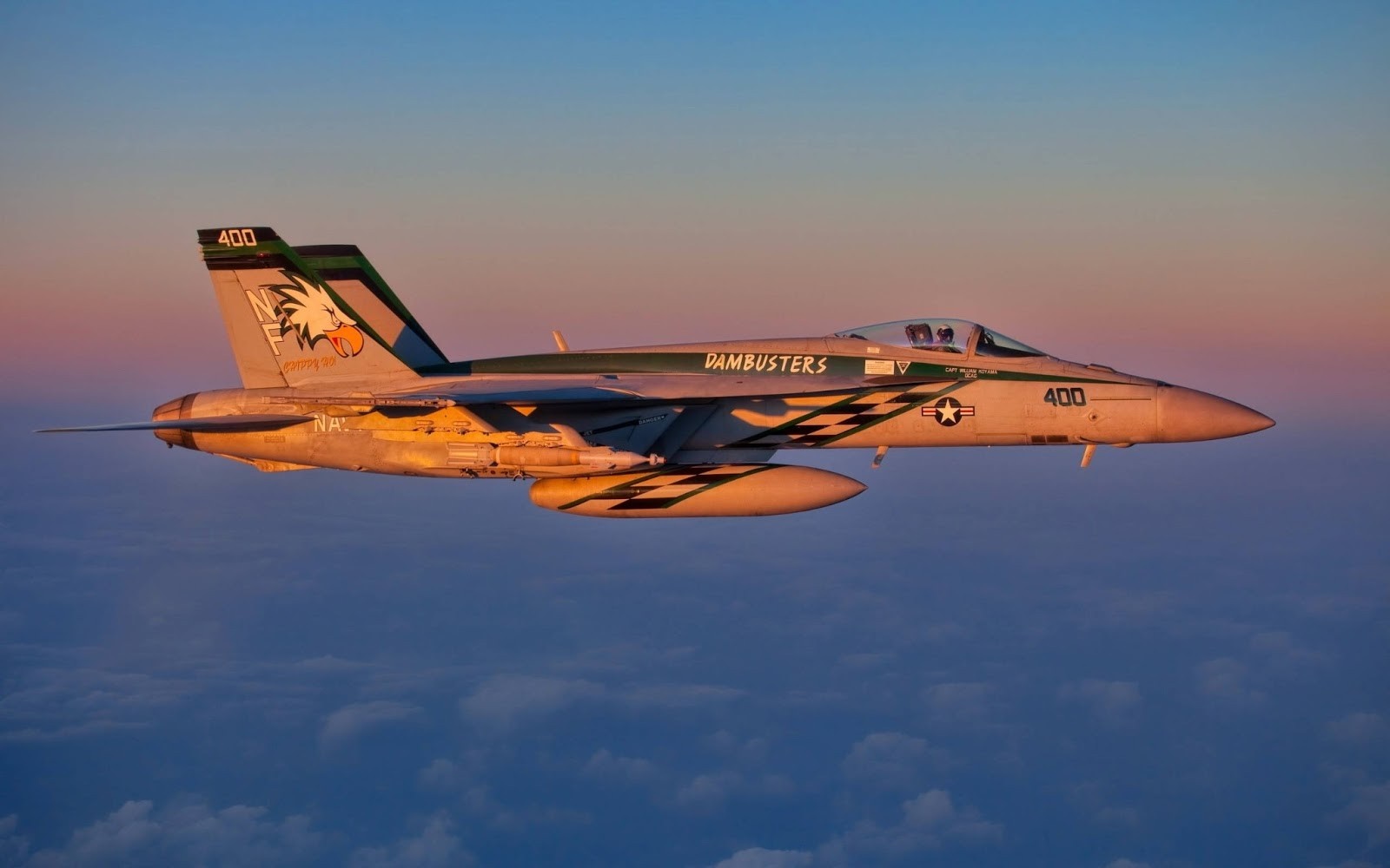 F/A-18F Super Hornet "Dambusters" in flight HD Wallpaper