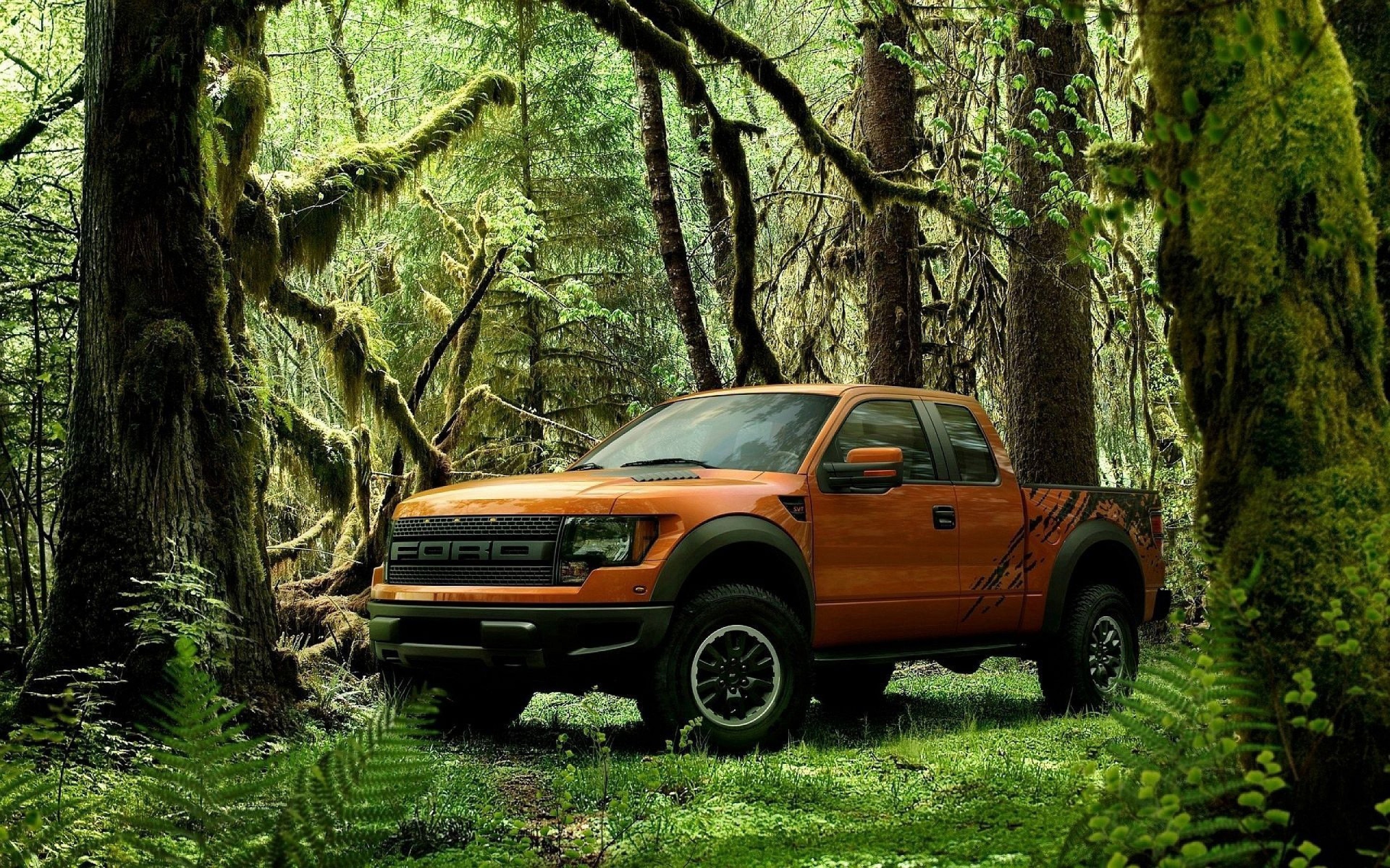 Orange Ford Raptor truck in a mossy forest HD Wallpaper