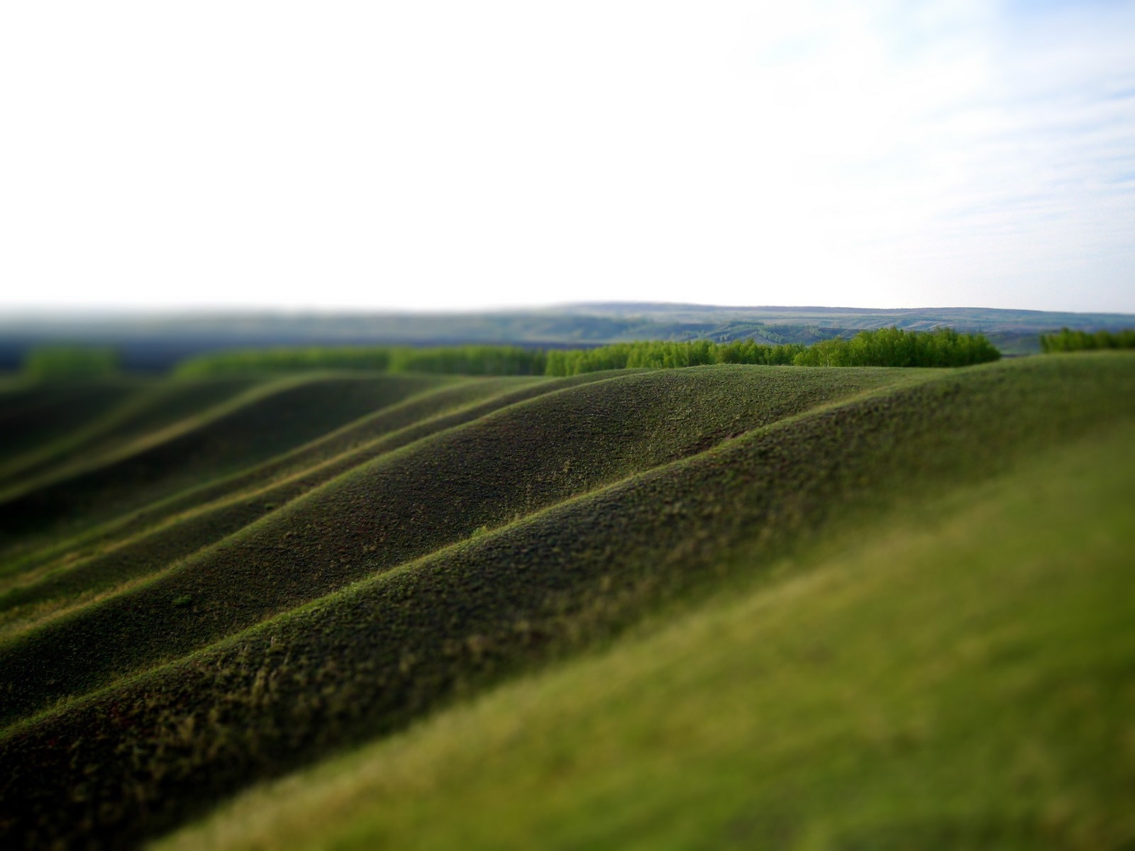 Rolling green hills with a distant forest under a bright sky HD Wallpaper