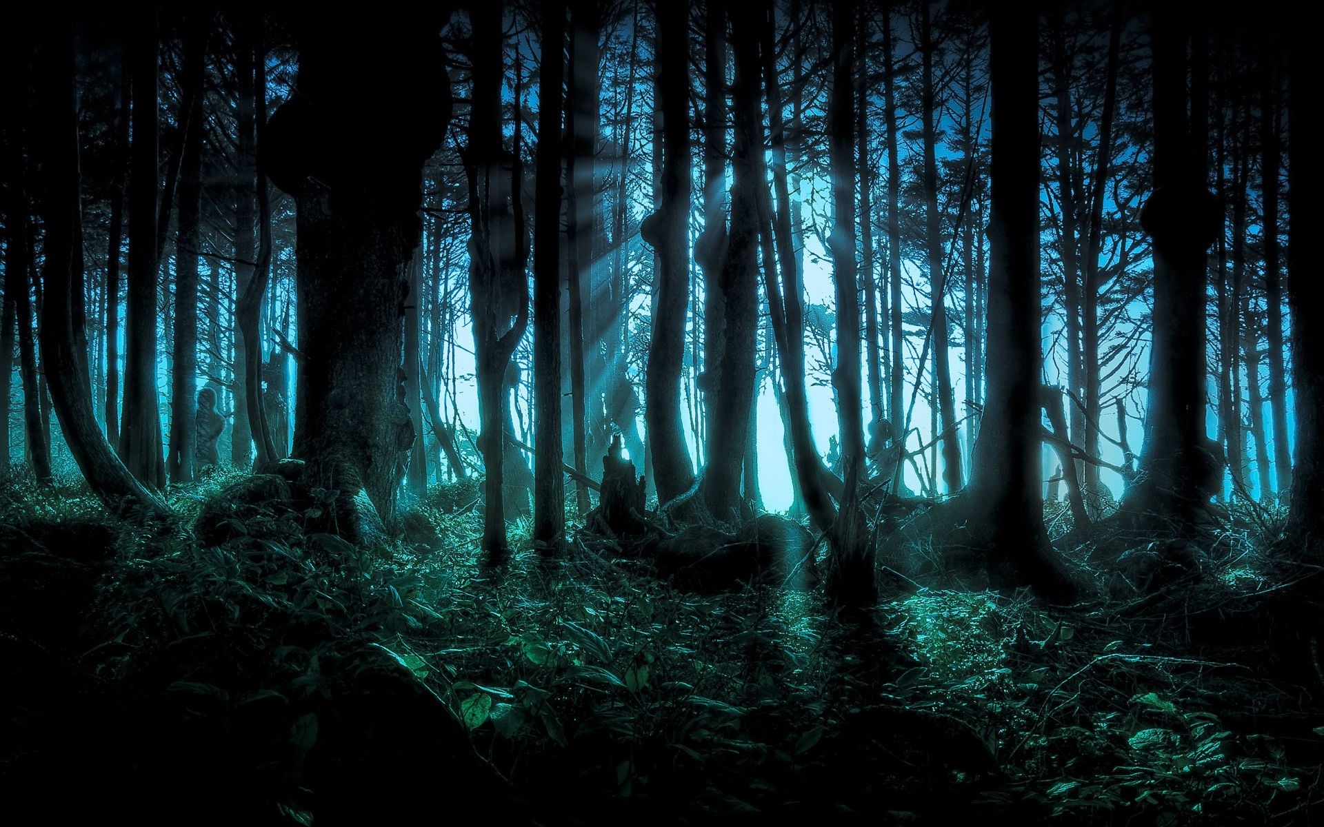 Sunlight filtering through a dark, blue-toned forest HD Wallpaper