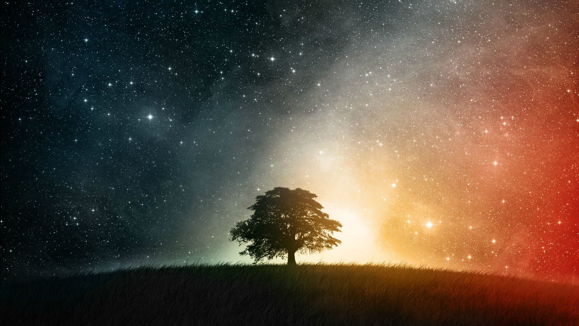Tree under a starry sky with colorful nebula HD Wallpaper