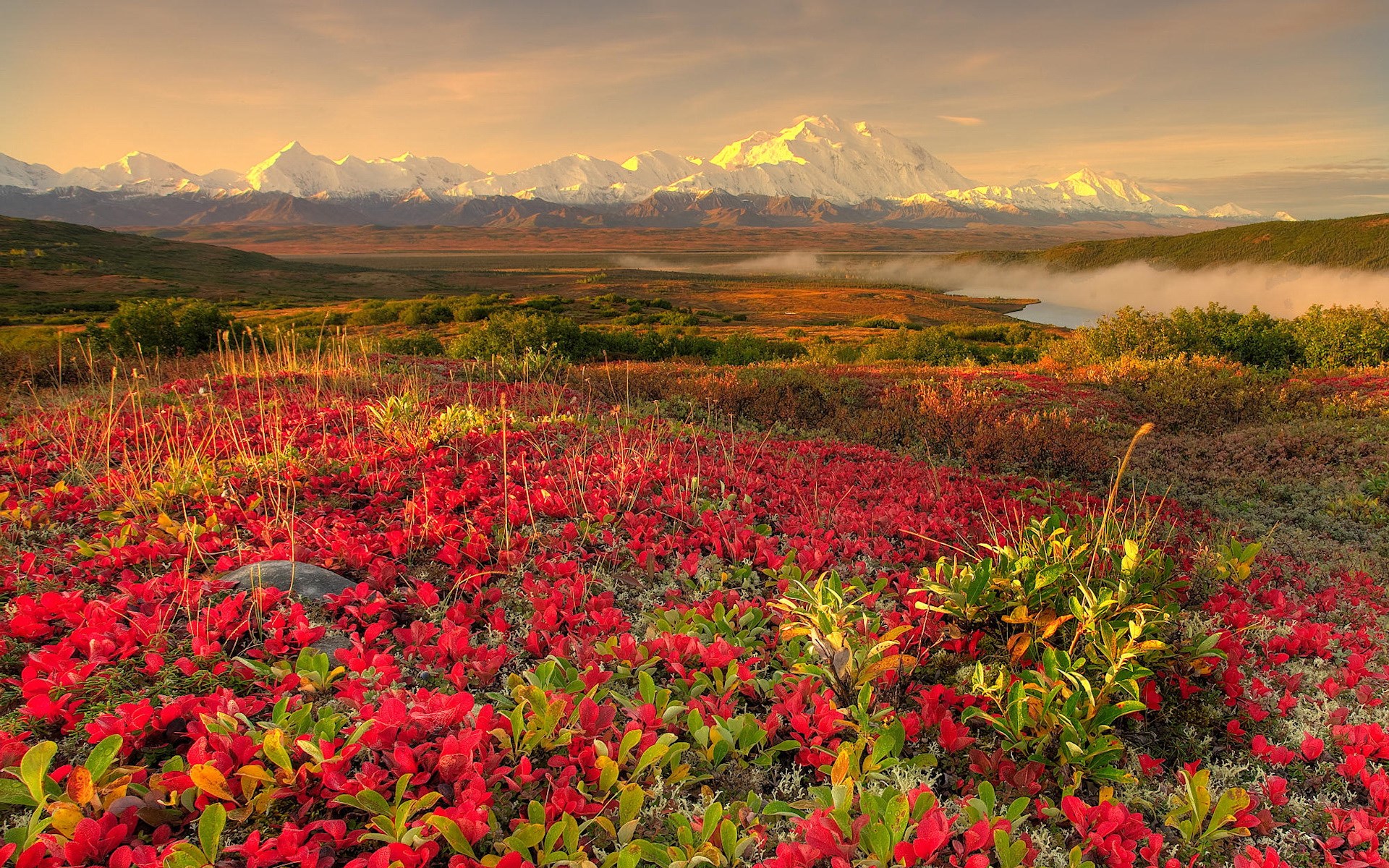 Autumn tundra with snow-capped mountains and a lake HD Wallpaper