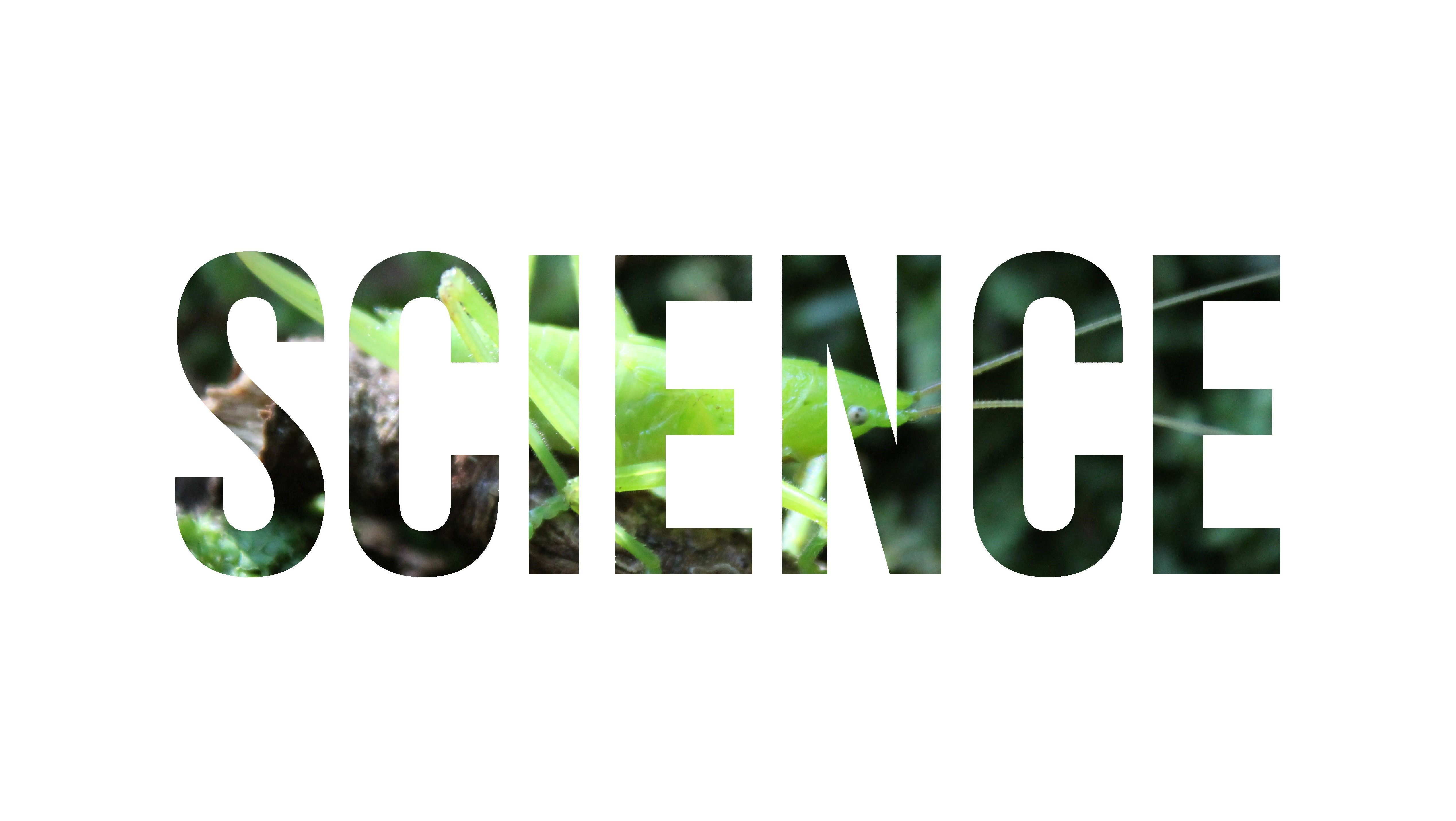 The word SCIENCE filled with a green insect and foliage HD Wallpaper