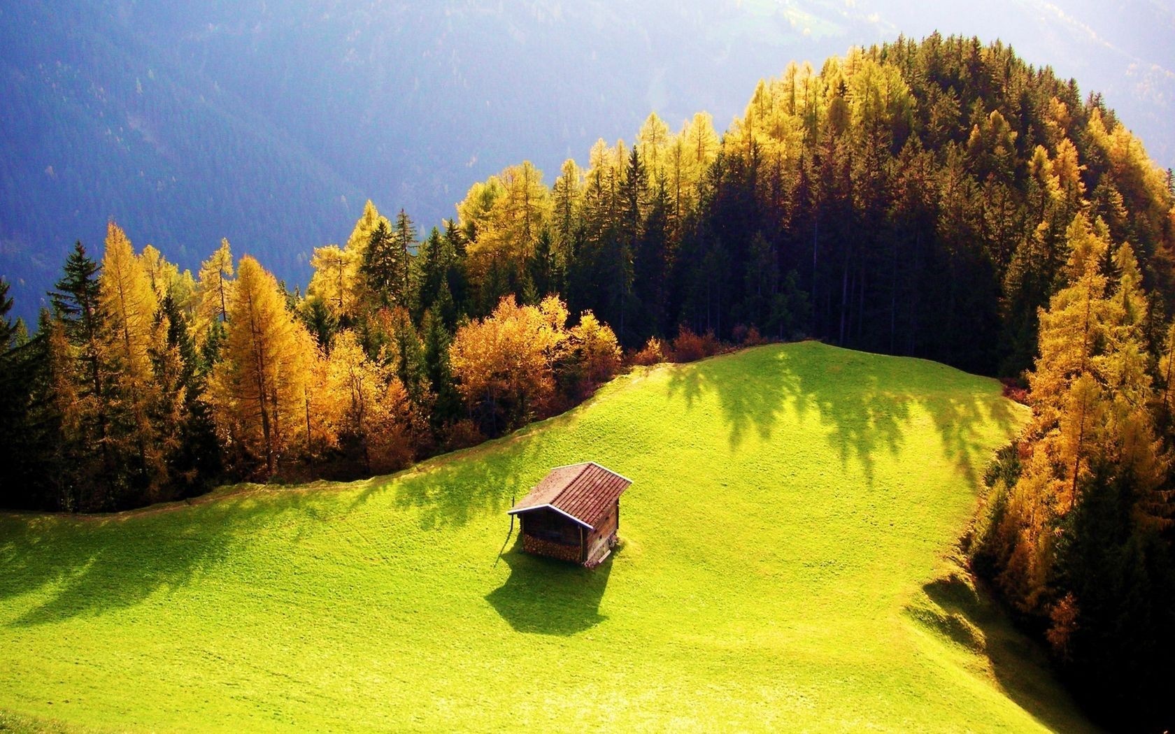 Autumn forest on a sunny hill with a small cabin HD Wallpaper