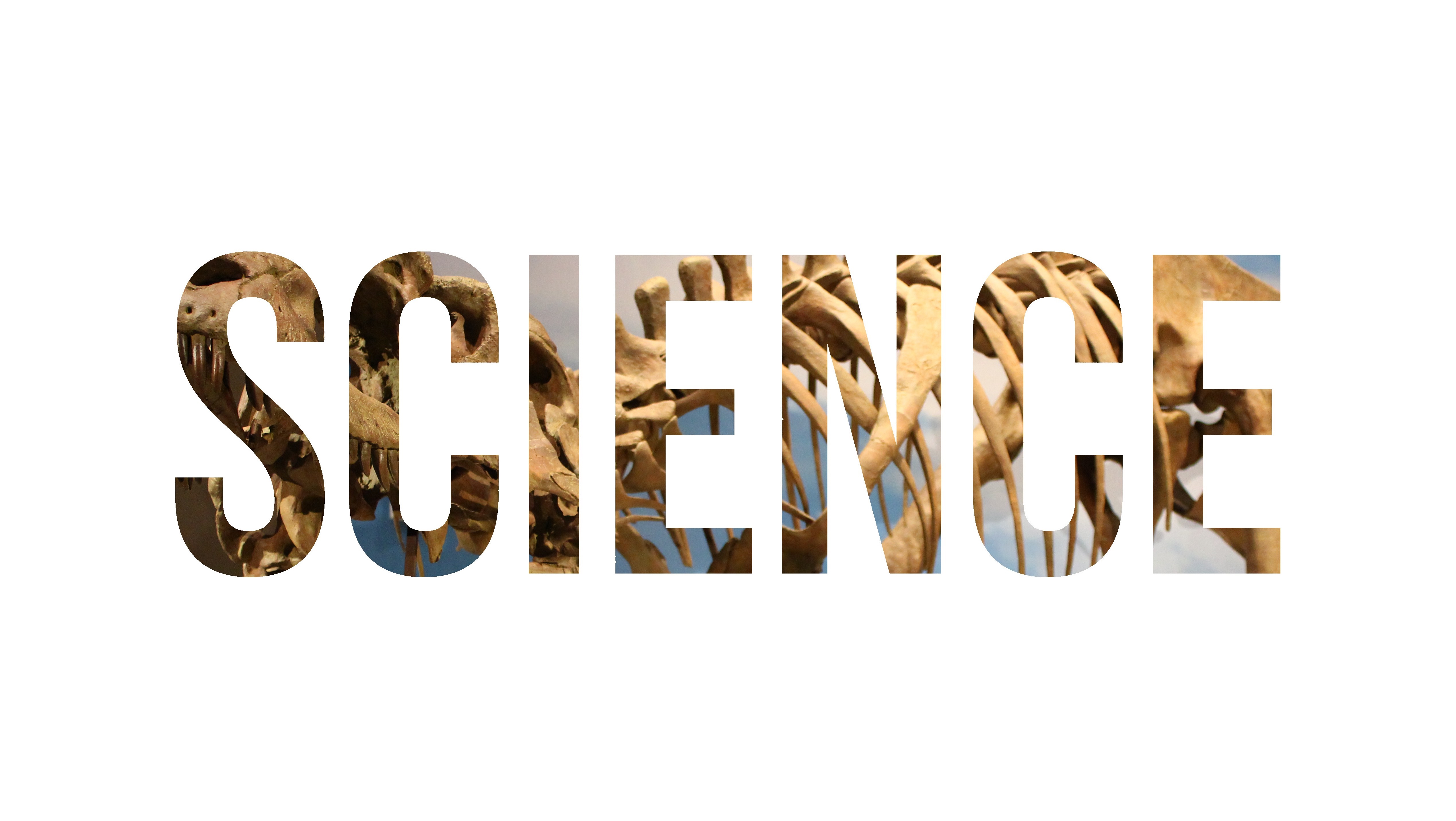The word SCIENCE filled with dinosaur skeletons HD Wallpaper