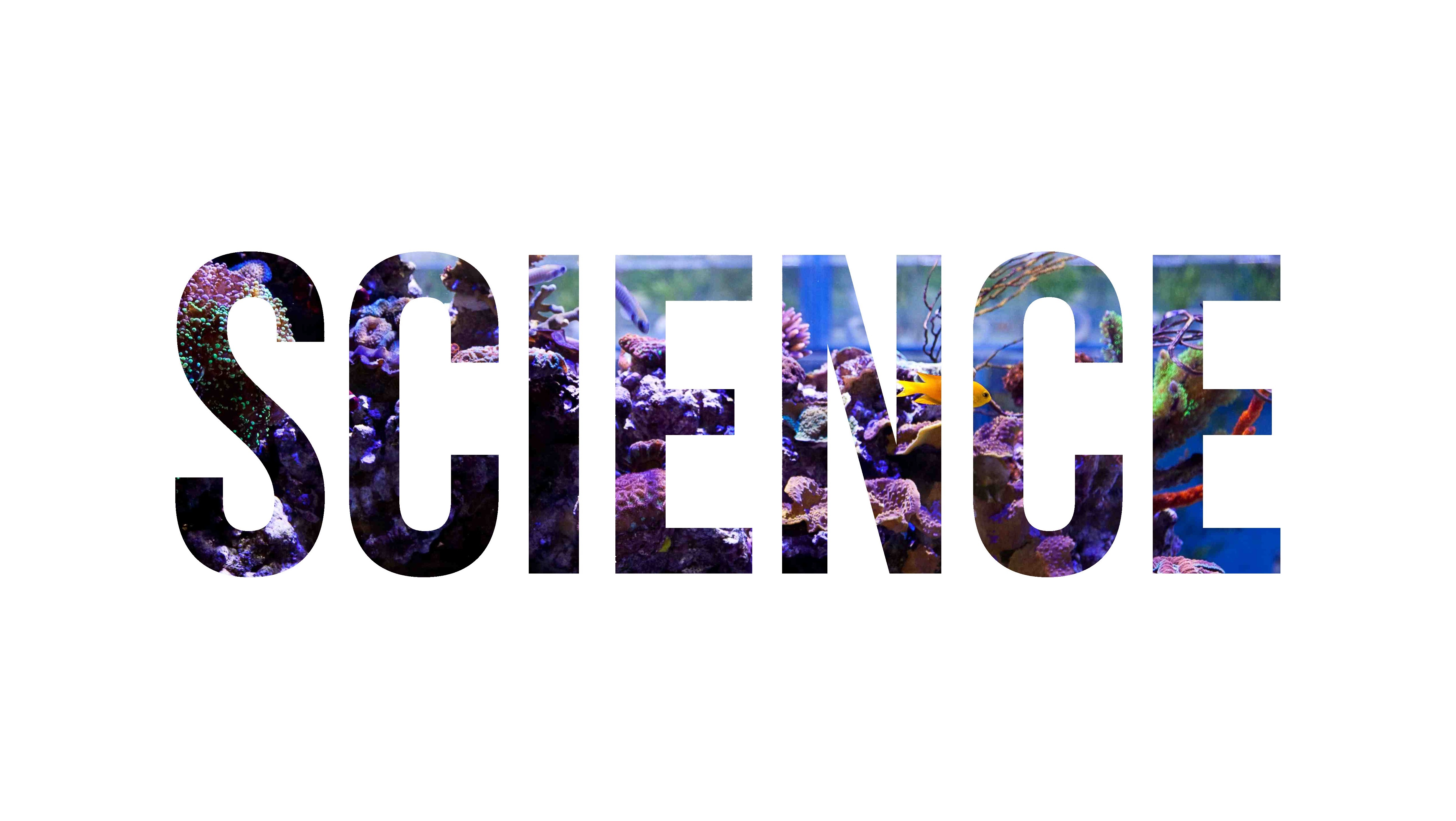 The word SCIENCE filled with an aquarium scene HD Wallpaper