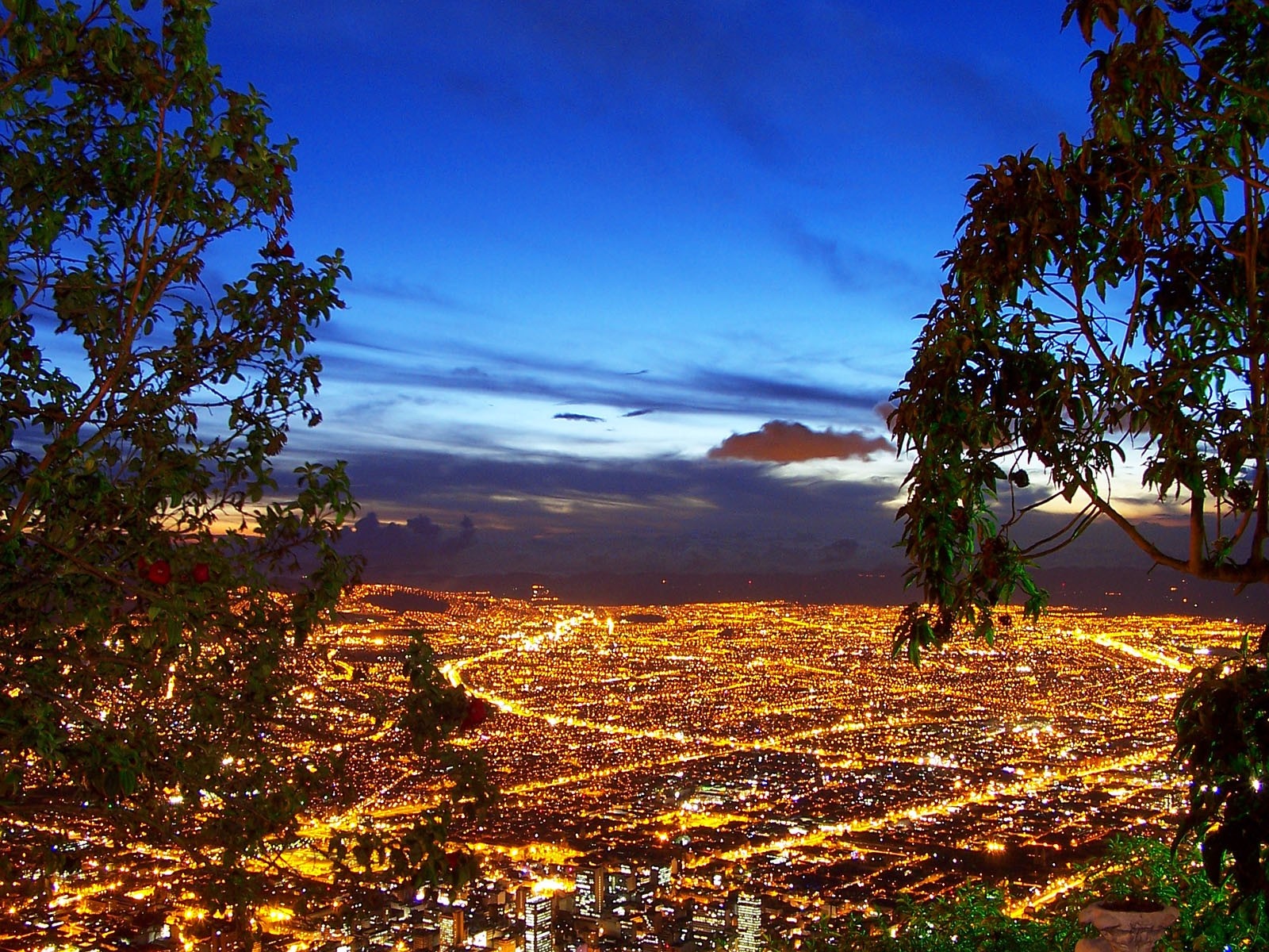 Cityscape at Dusk with Trees HD Wallpaper