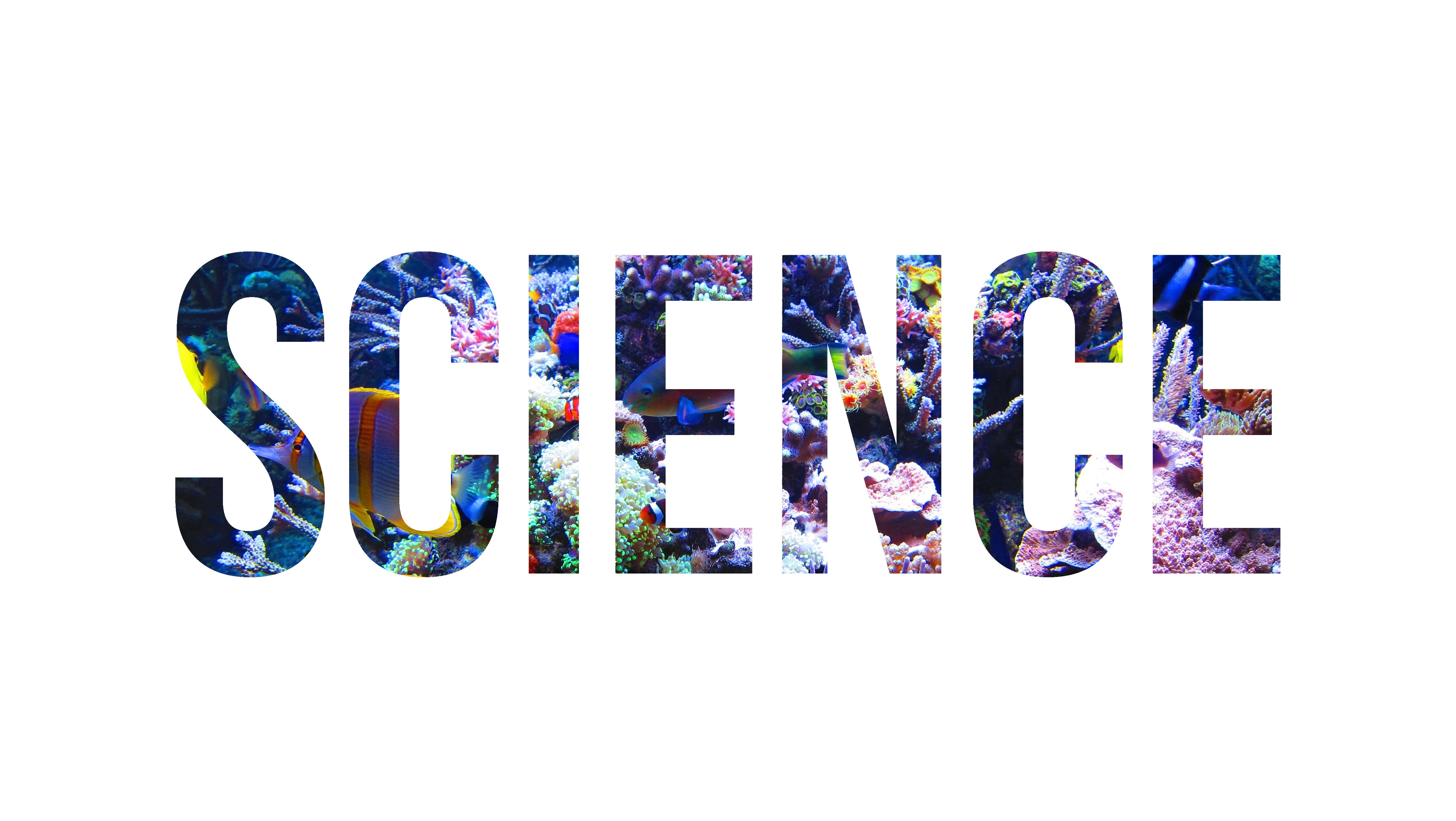 The word SCIENCE filled with an aquarium scene HD Wallpaper