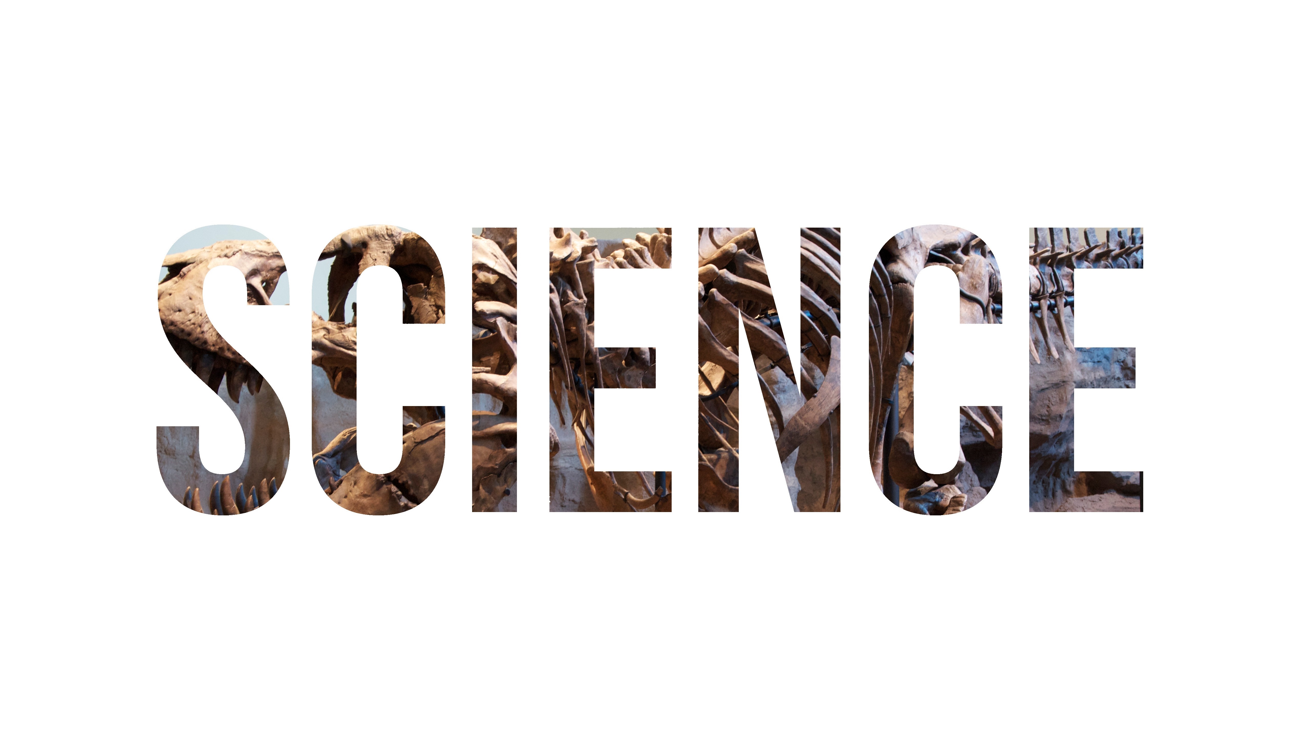 The word SCIENCE filled with dinosaur skeletons HD Wallpaper